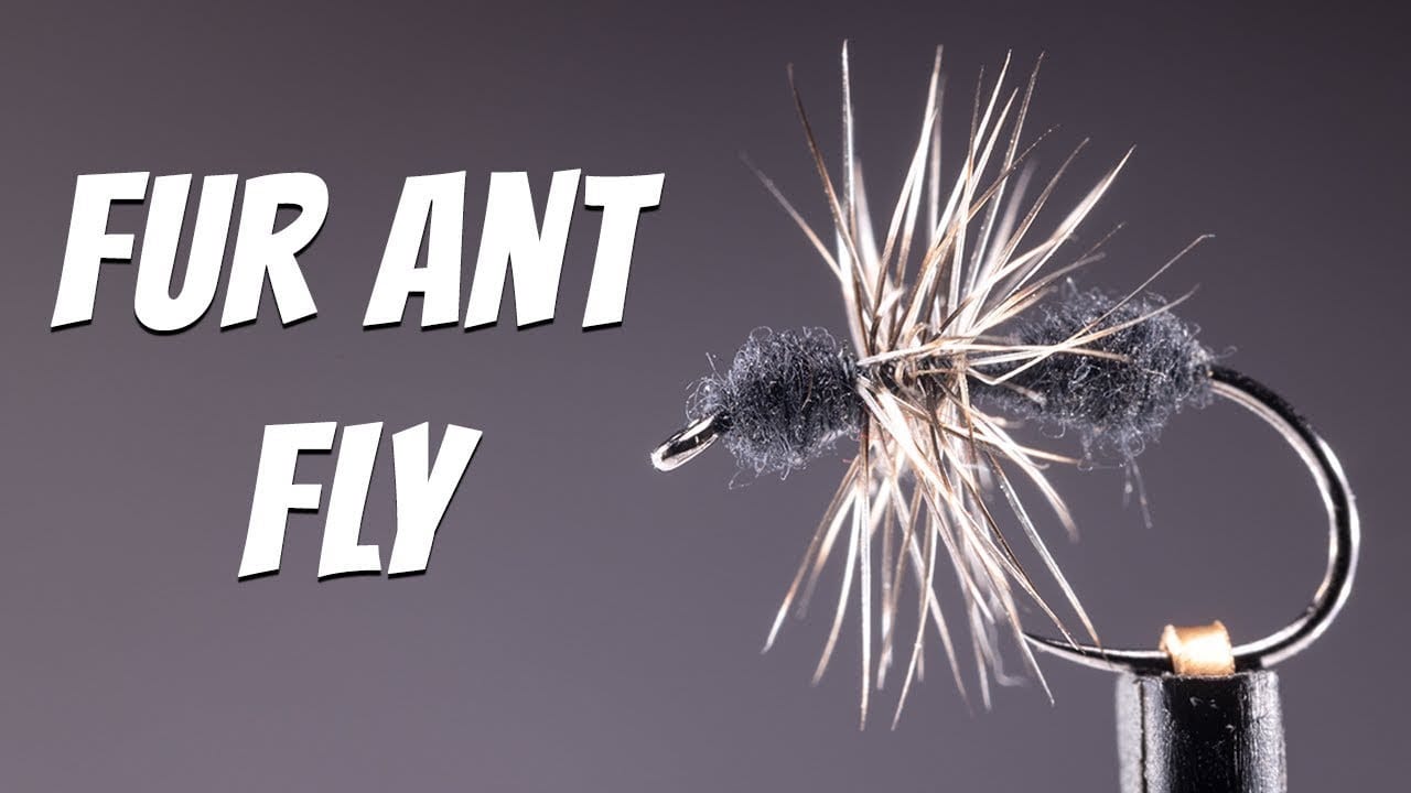 Fur Ant Fly Tutorial Tying Video Material Kit