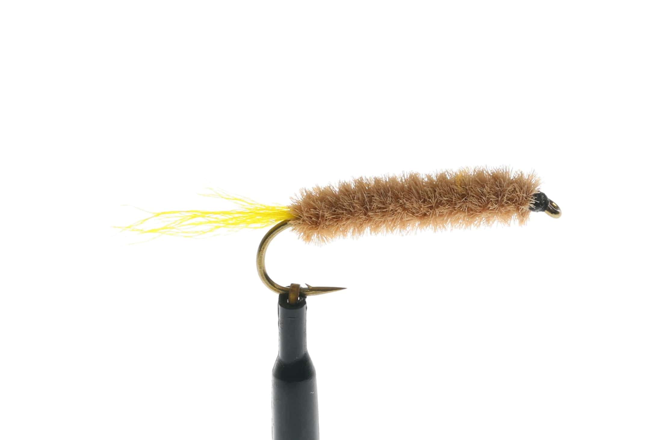 Maple Syrup Fly
