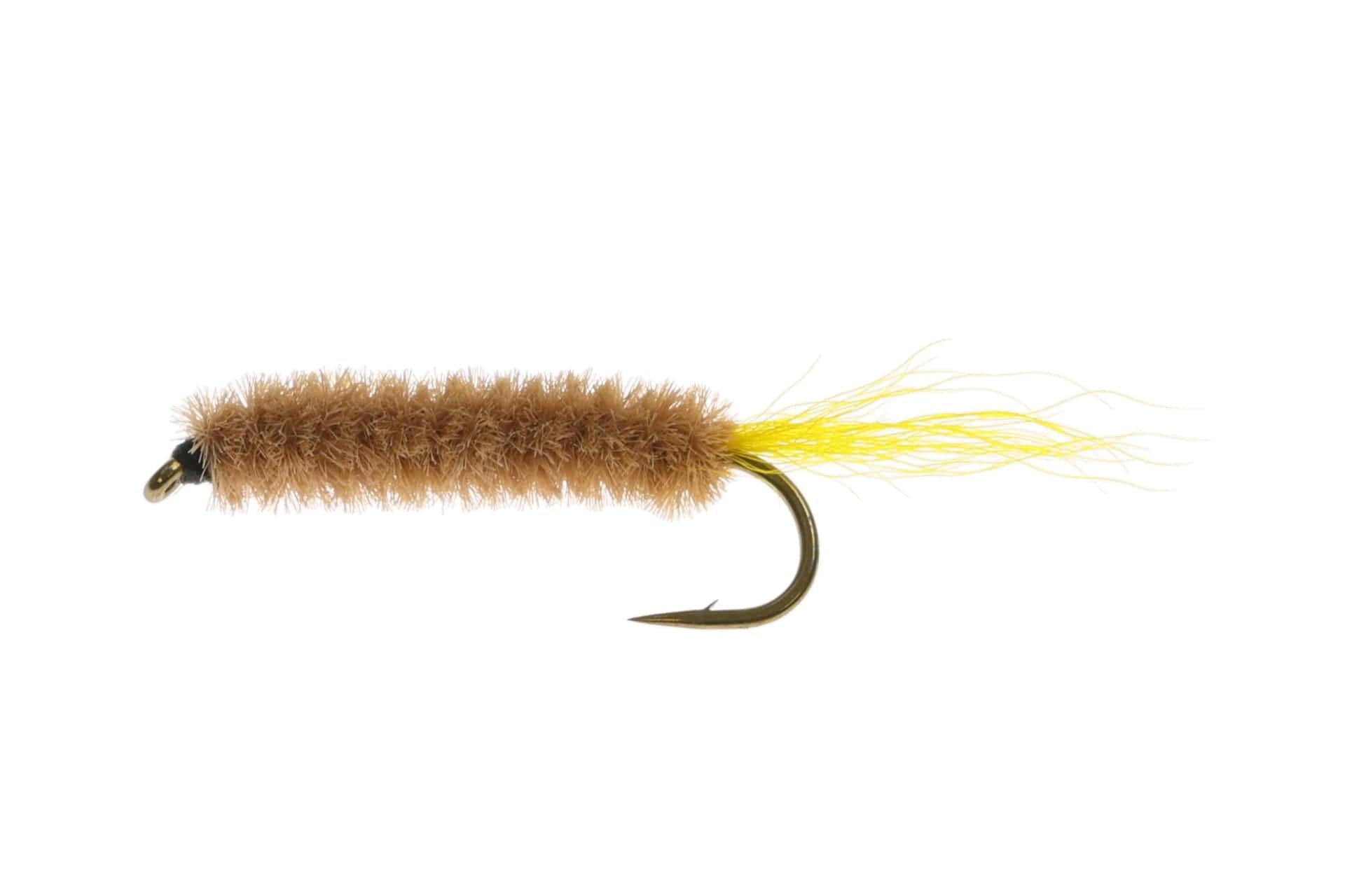 Maple Syrup Fly