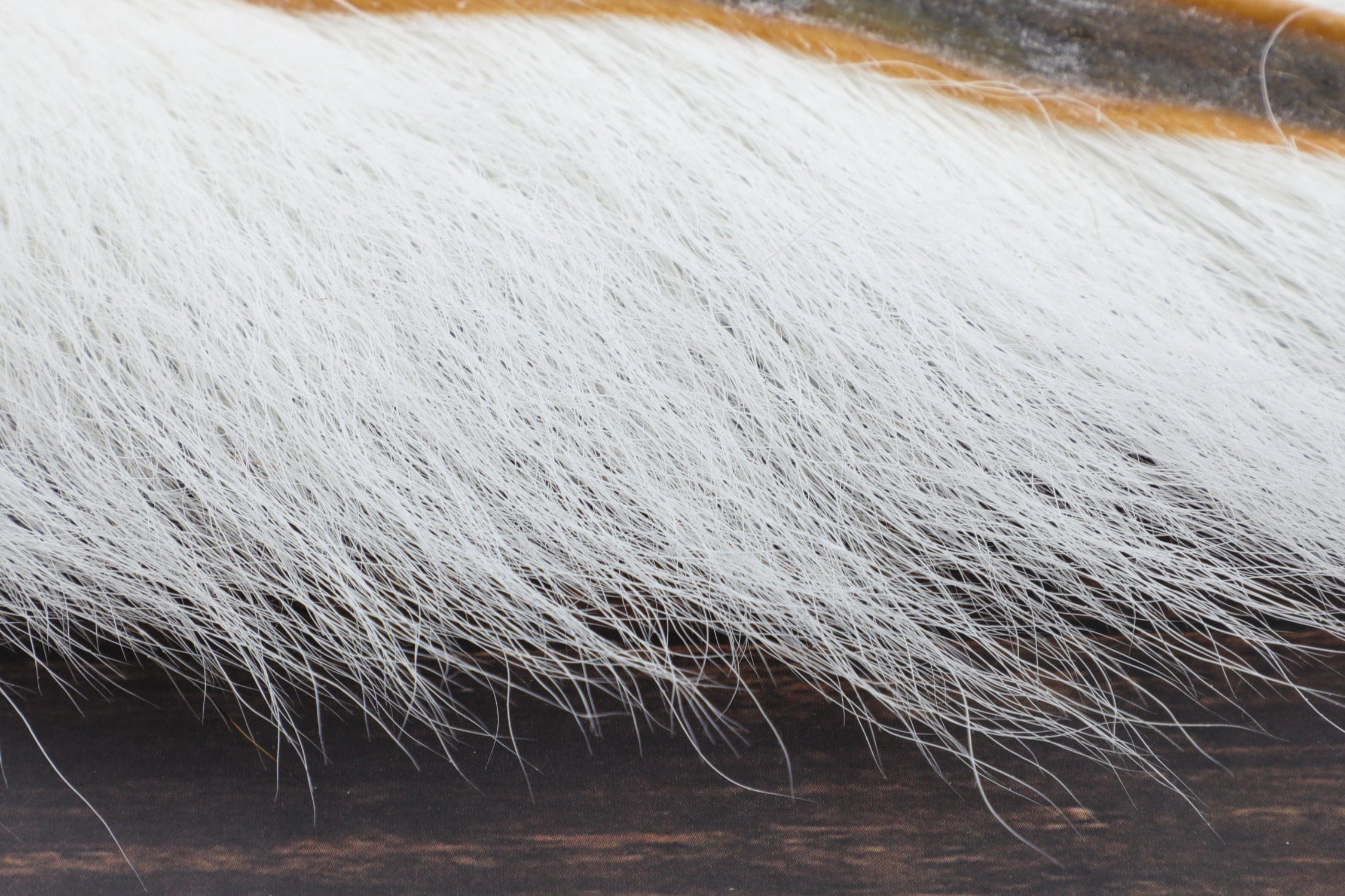 Trident Premium Bucktail