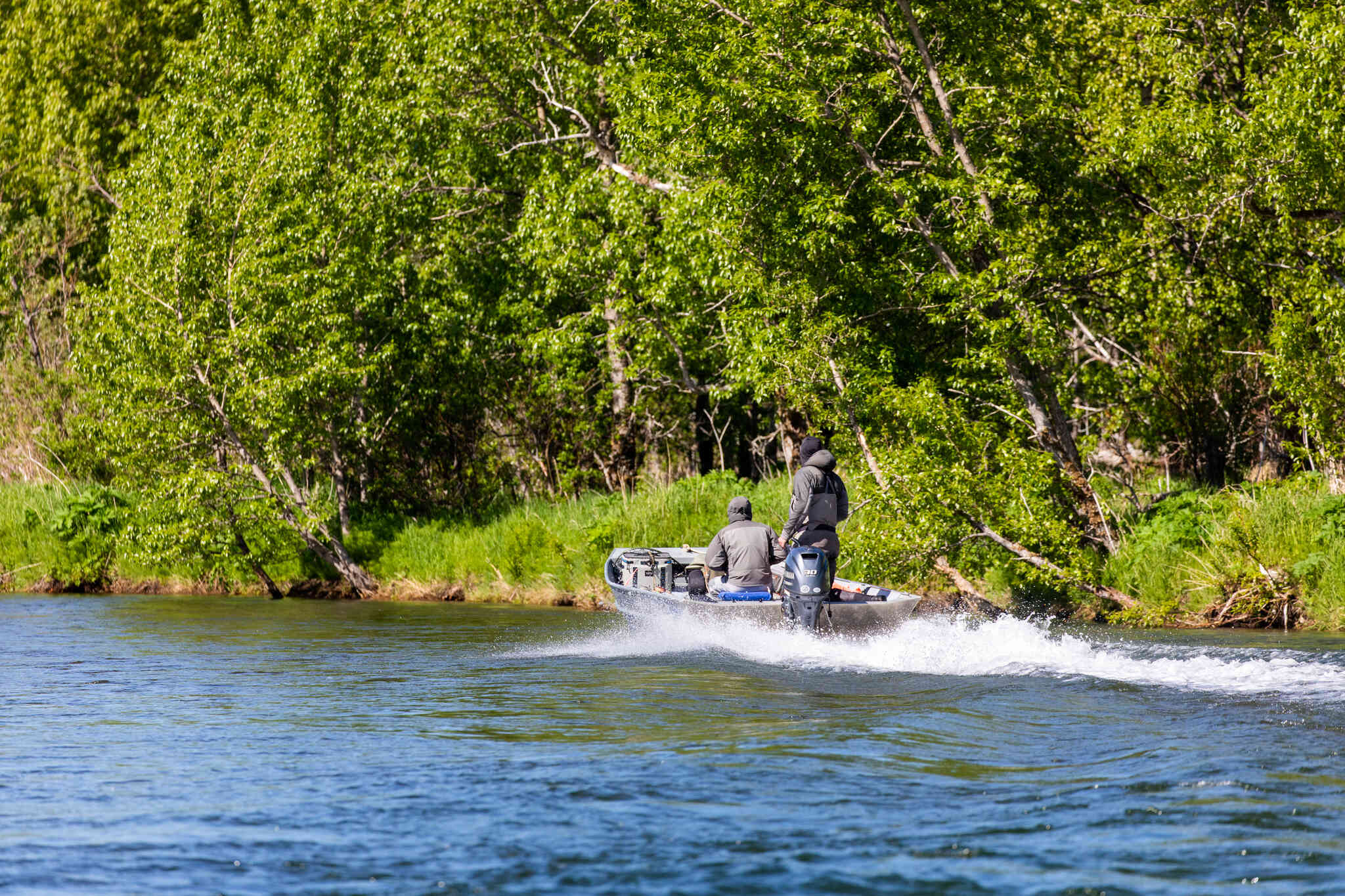 Aluminum motorboat with outboard engine and anglers speeding across blue river, wake splashing near dense green birch trees