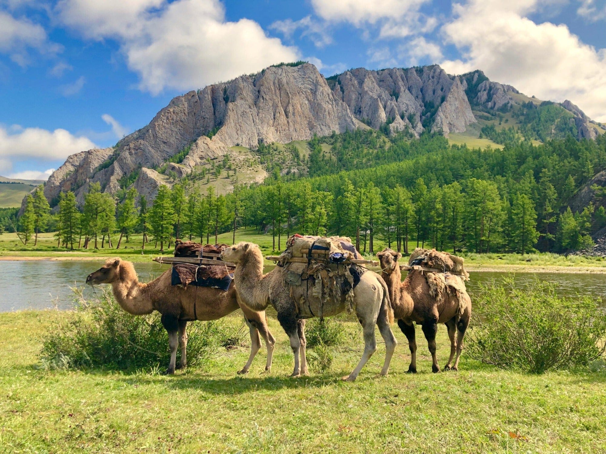 FM Headwaters Expeditions