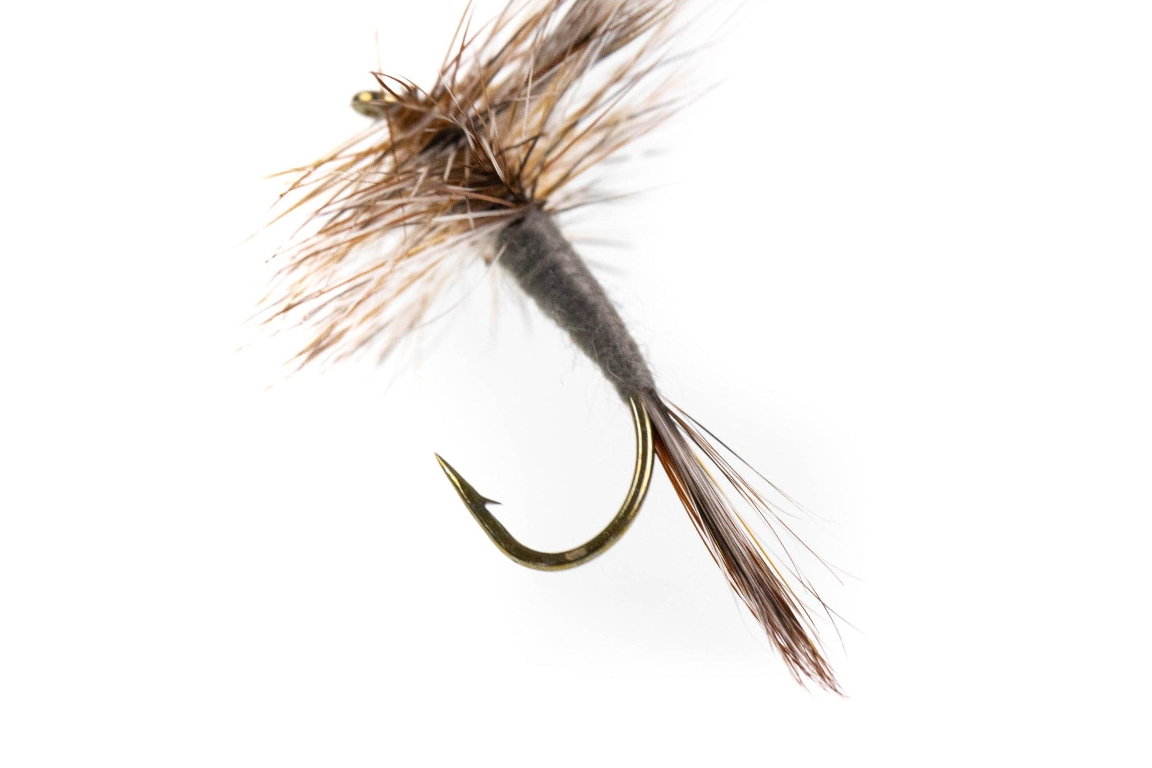 Umpqua Adams dry fly with gray dubbed body, brown hackle and brown tail fibers on gold hook