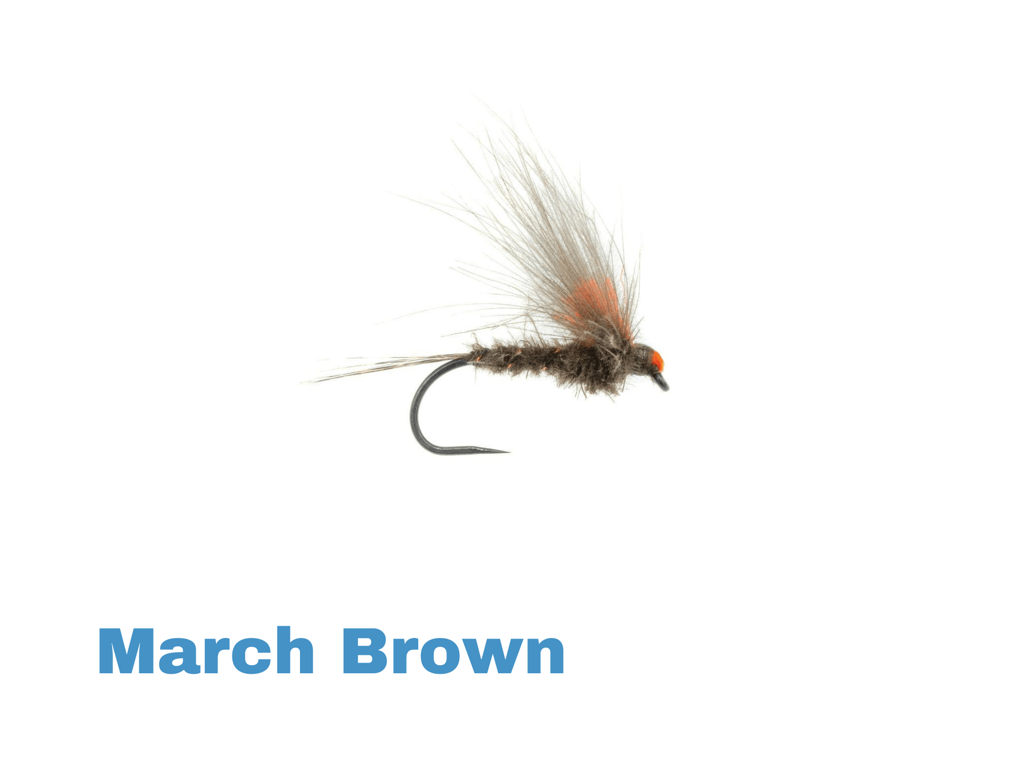 March Brown dry fly with fuzzy brown dubbing, pale tan upright wing and bright orange head on a black hook