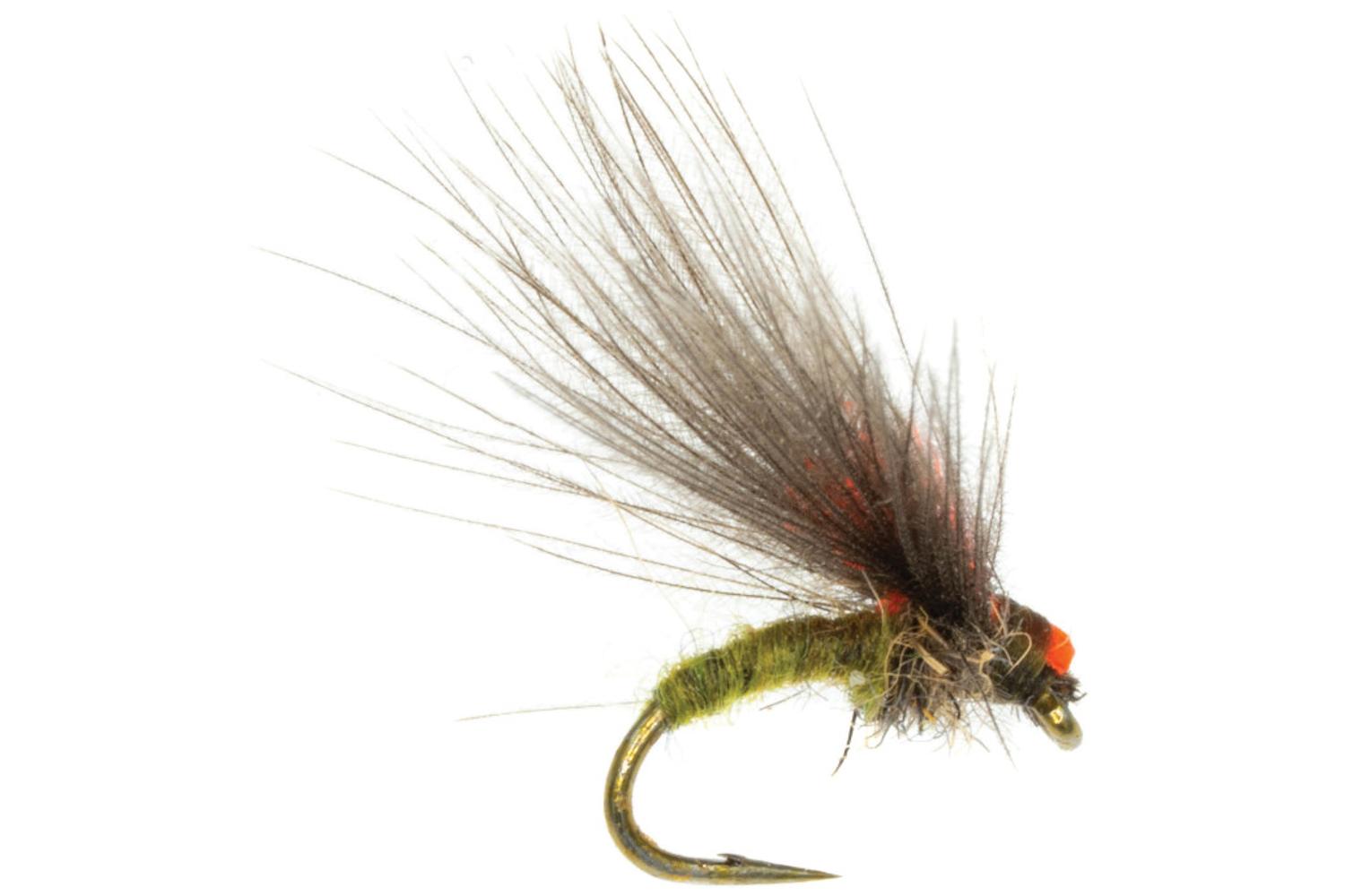 Umpqua Antonio's Emerger fly with olive dubbing body, dark brown hairy wing, orange bead head on gold hook