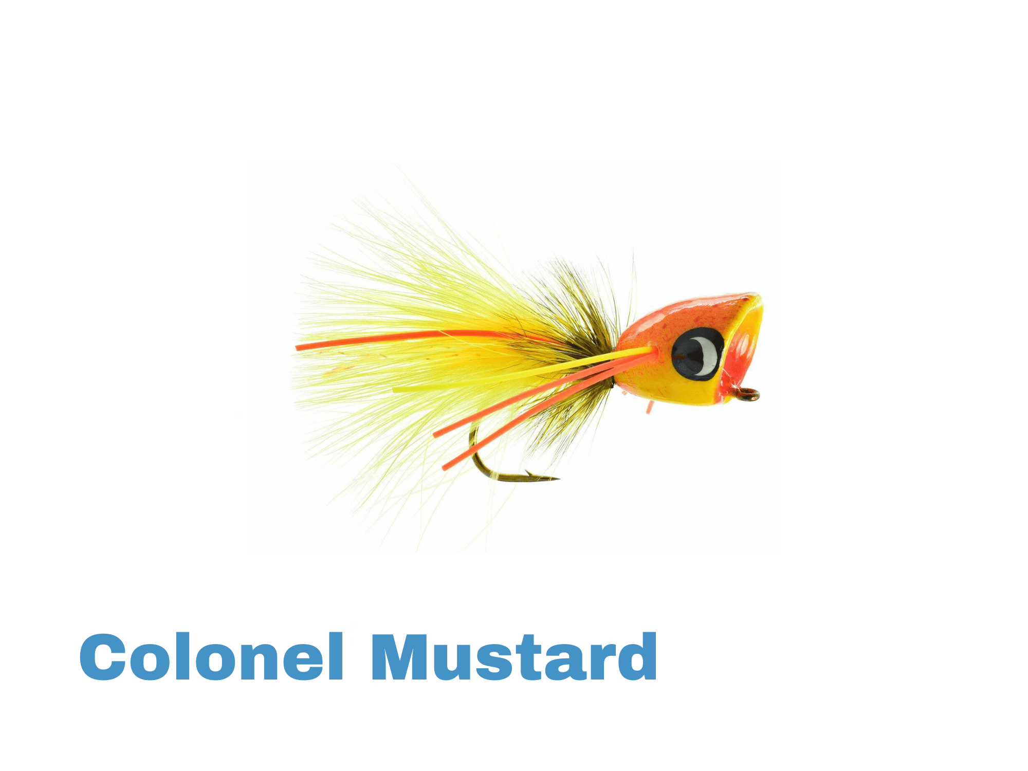 Bass Popper Fly