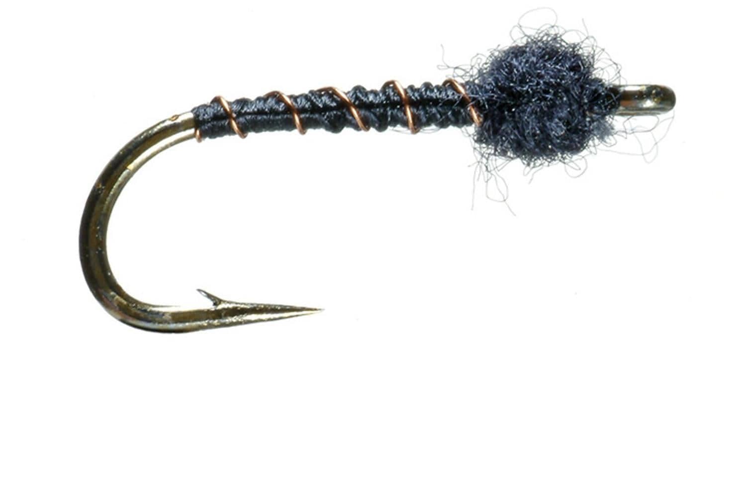 Black Beauty Fly