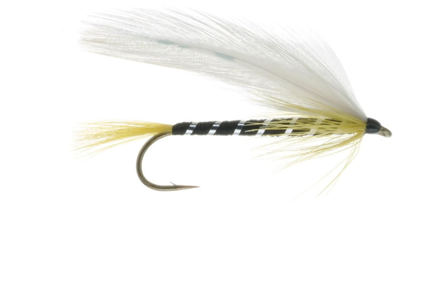 Black Ghost Fly