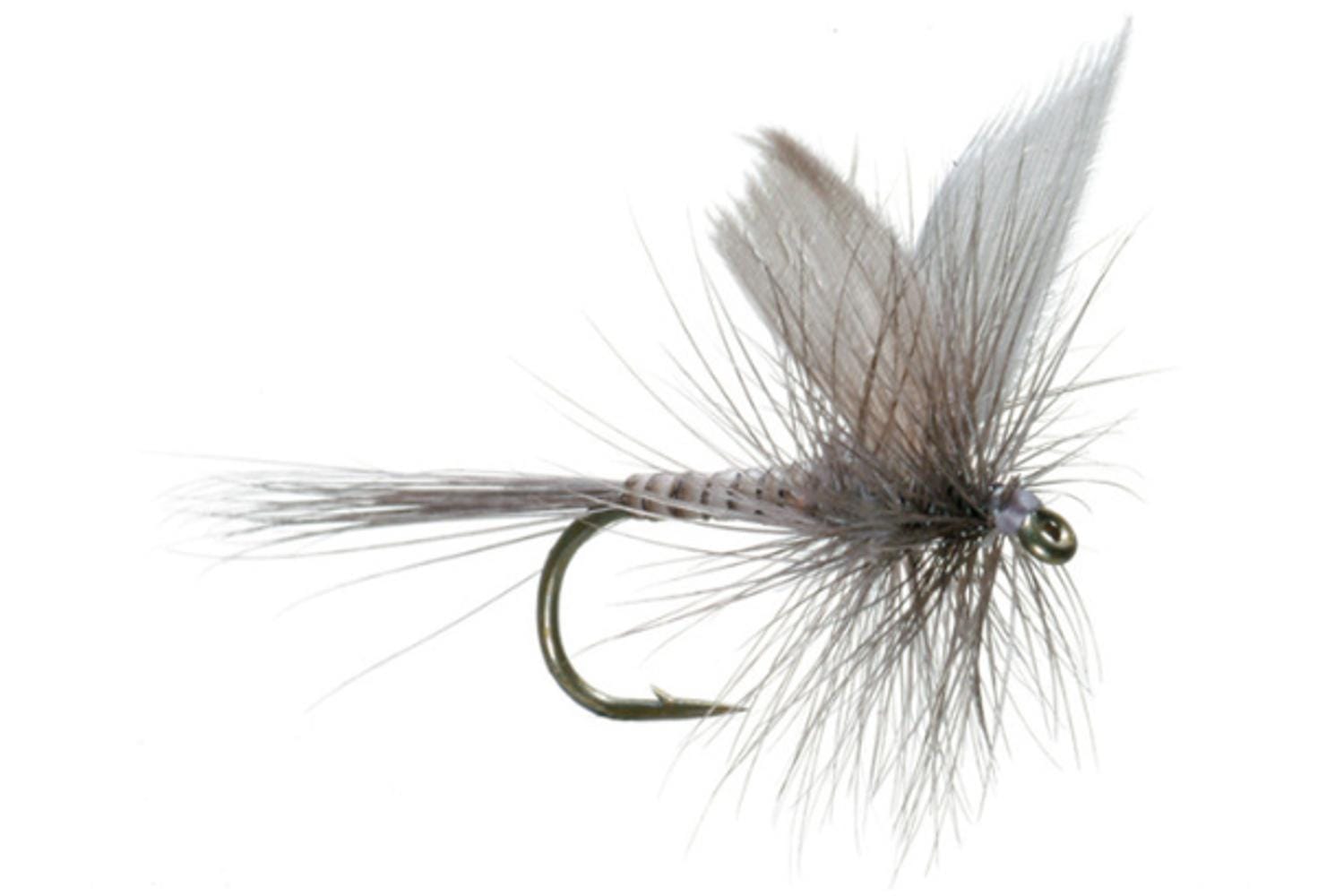 Blue Quill Fly