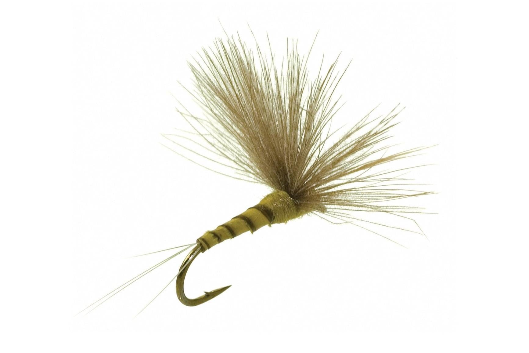 CDC Biot Comparadun Fly