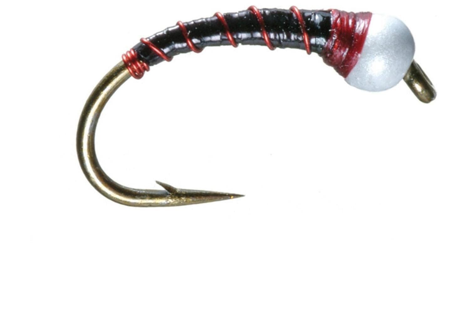Chiron Pupa Fly