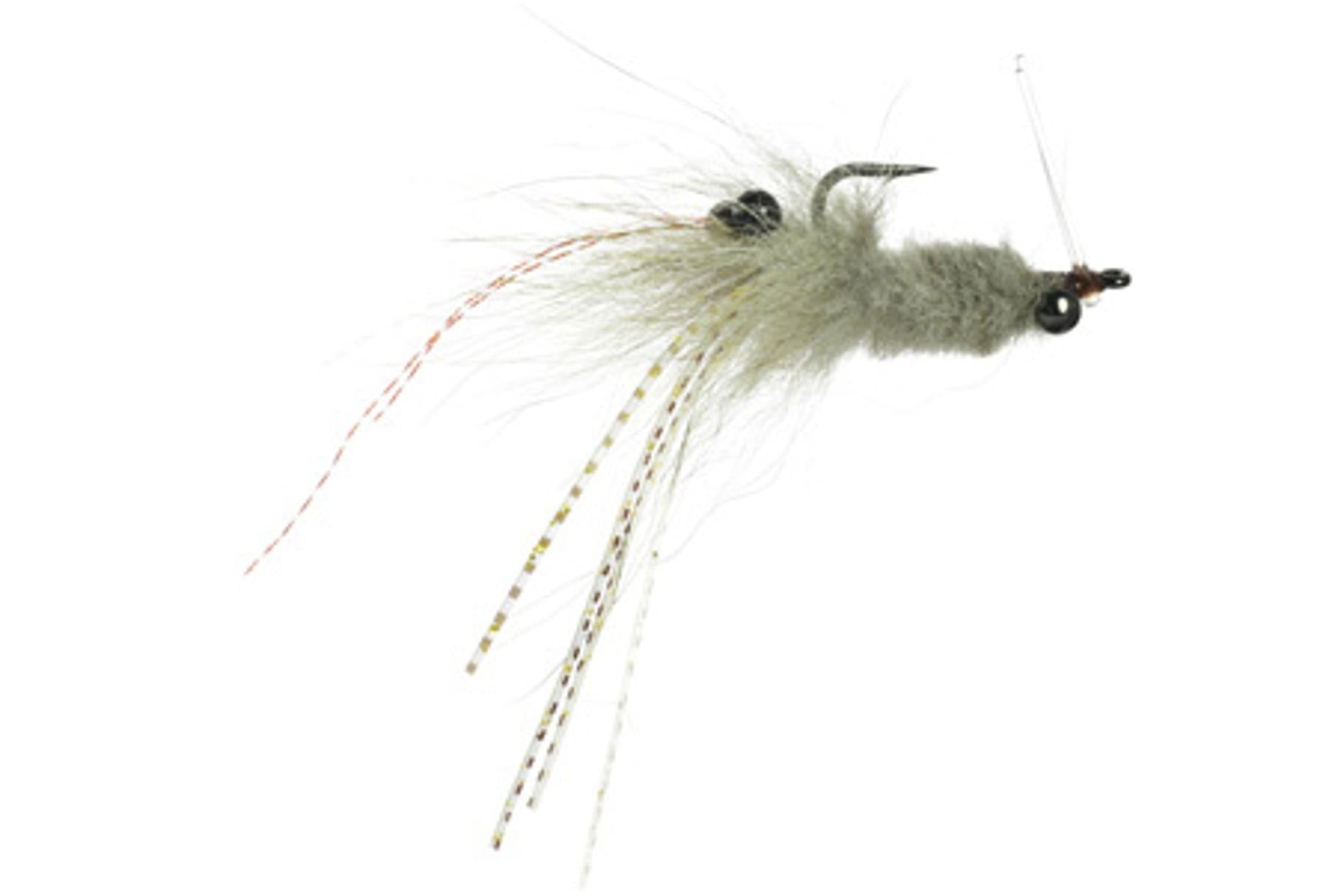 Coyote Shrimp Fly