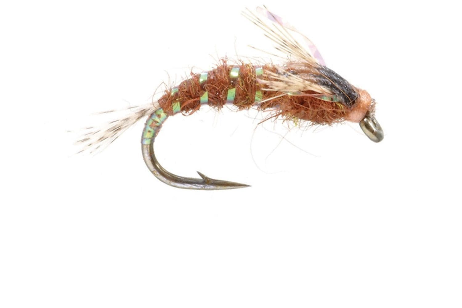 Crystal Hunchback Fly