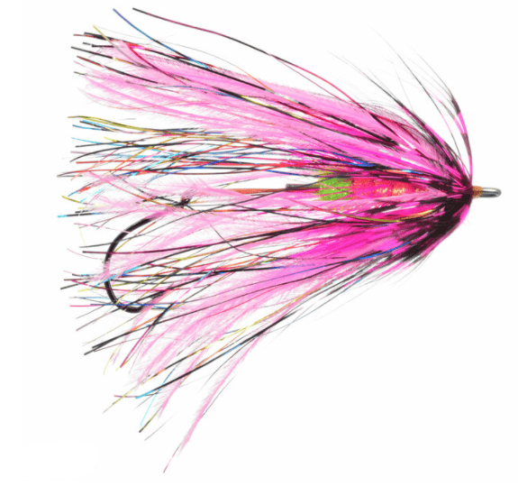 Fish Taco Fly