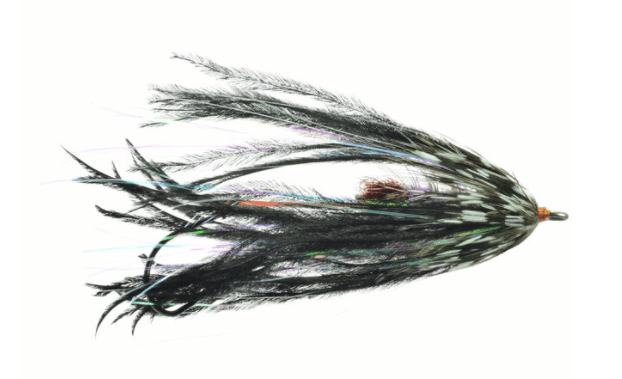 Fish Taco Fly