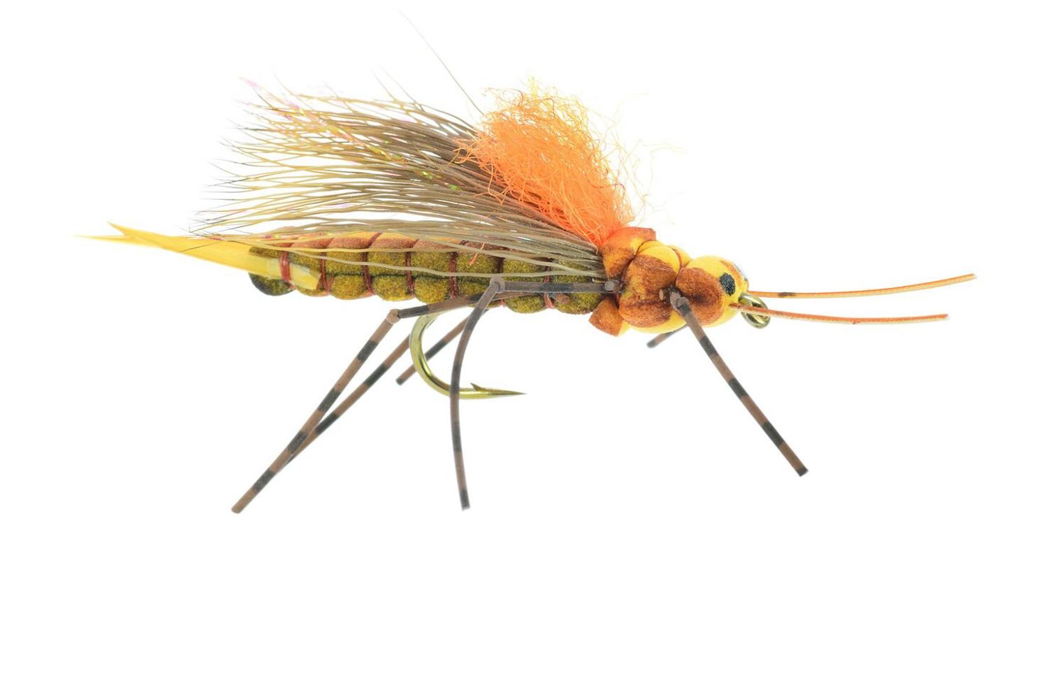 Fluttering Stone Fly