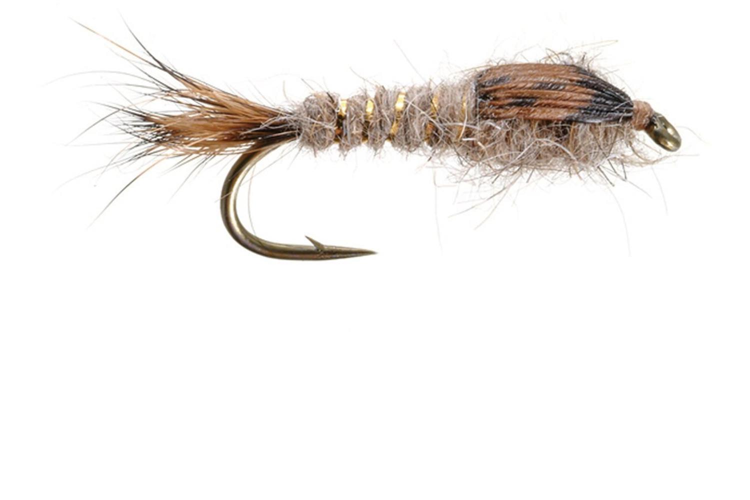Gold Ribbed Hares Ear Fly