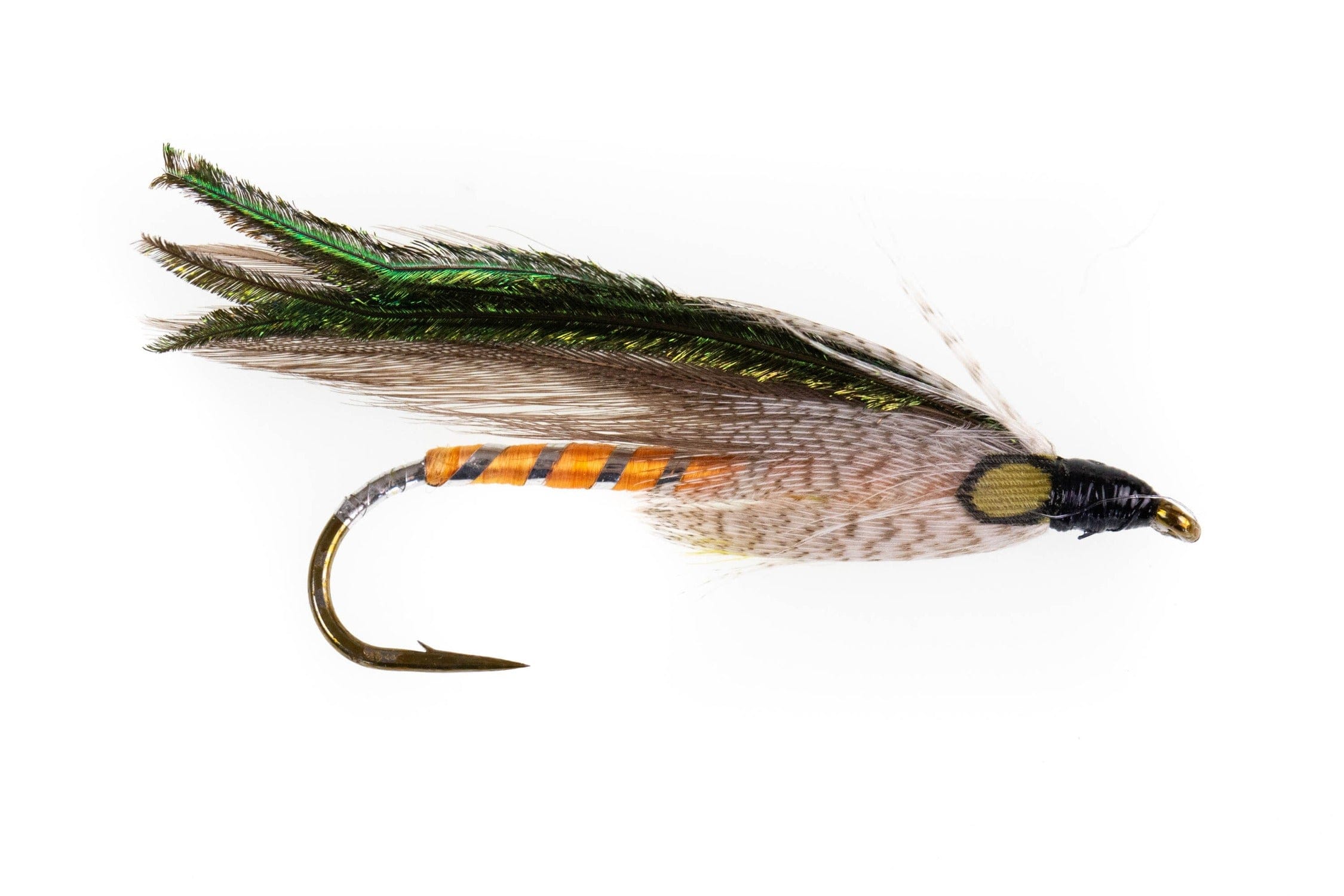 Gray Ghost Fly