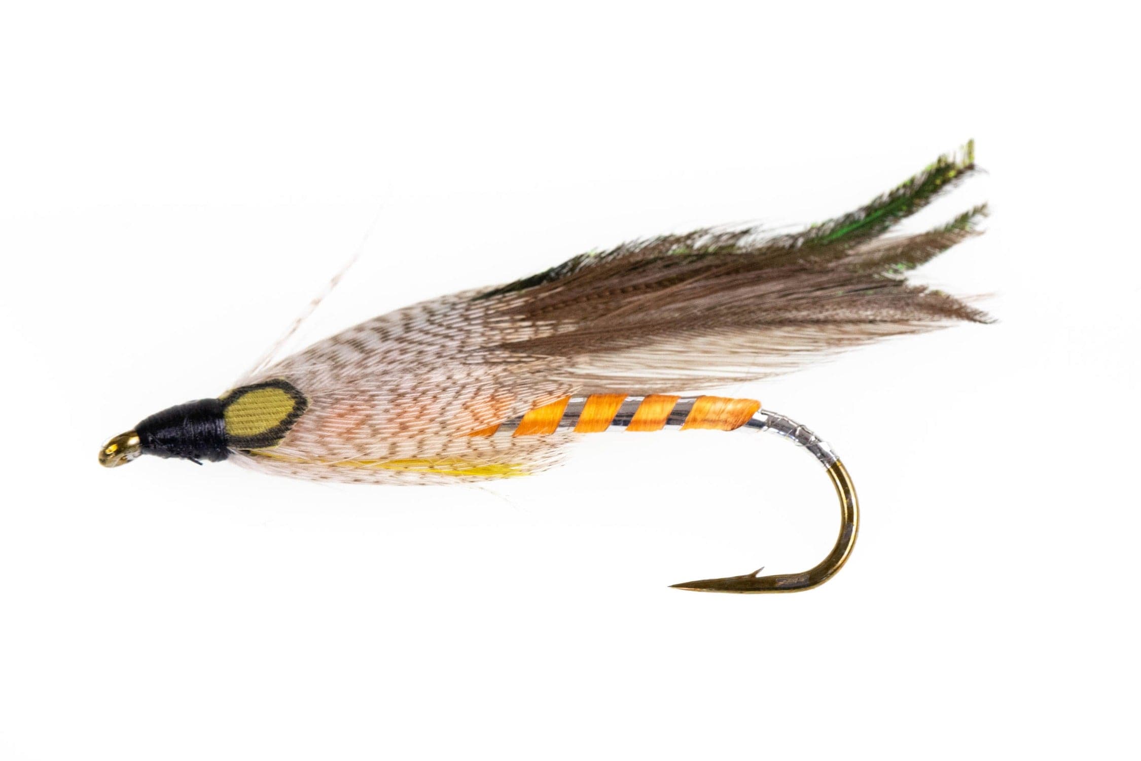 Gray Ghost Fly