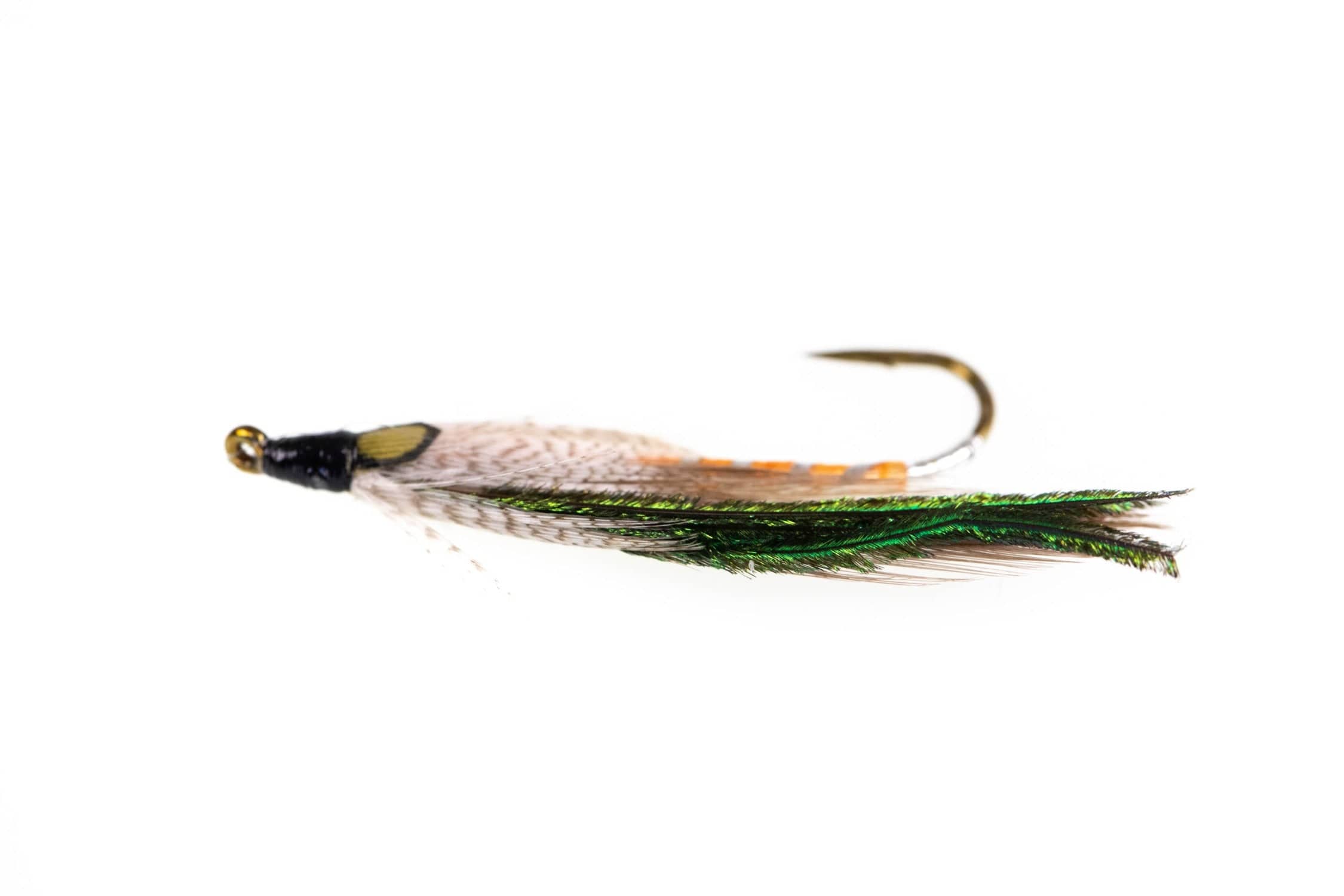 Gray Ghost Fly