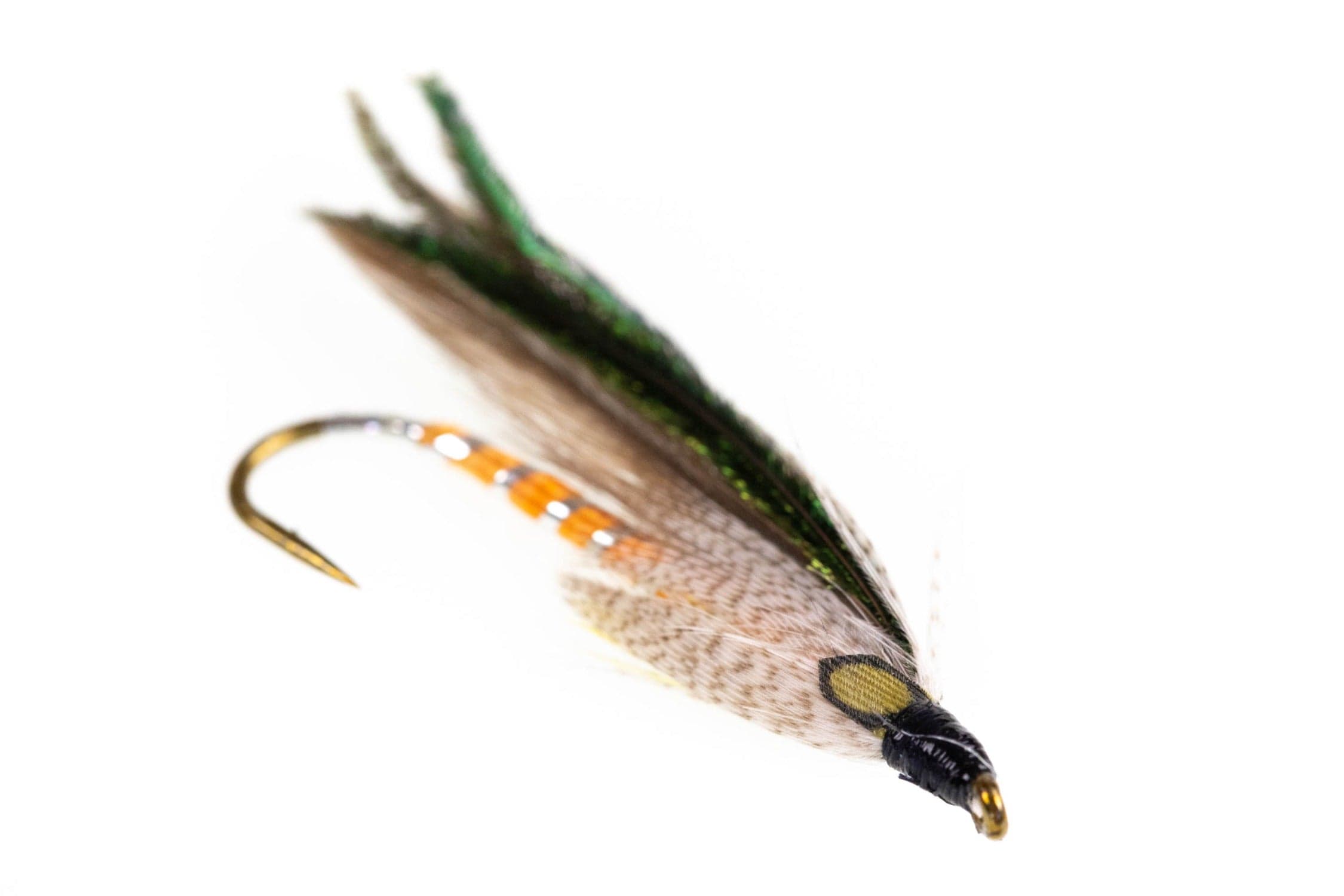 Gray Ghost Fly