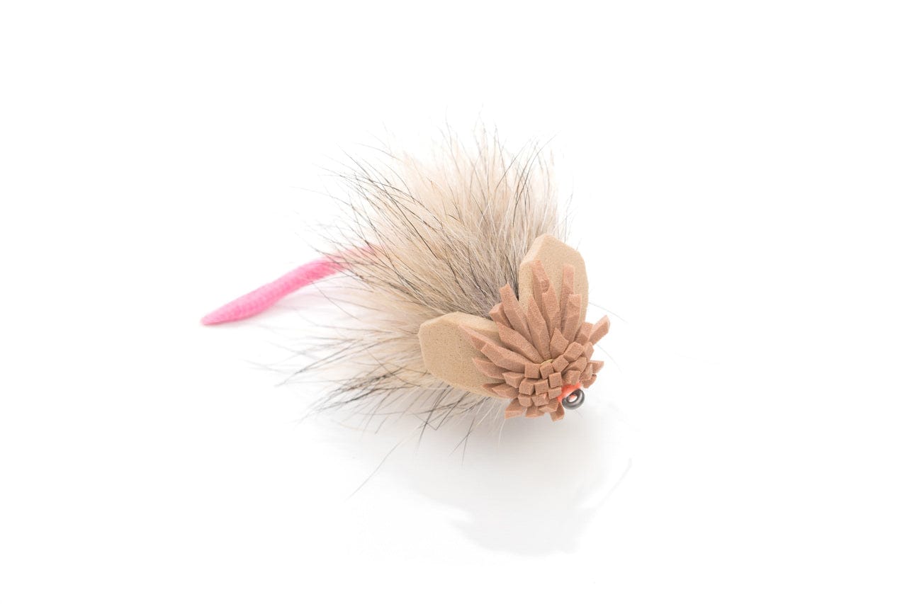 King Rat Fly