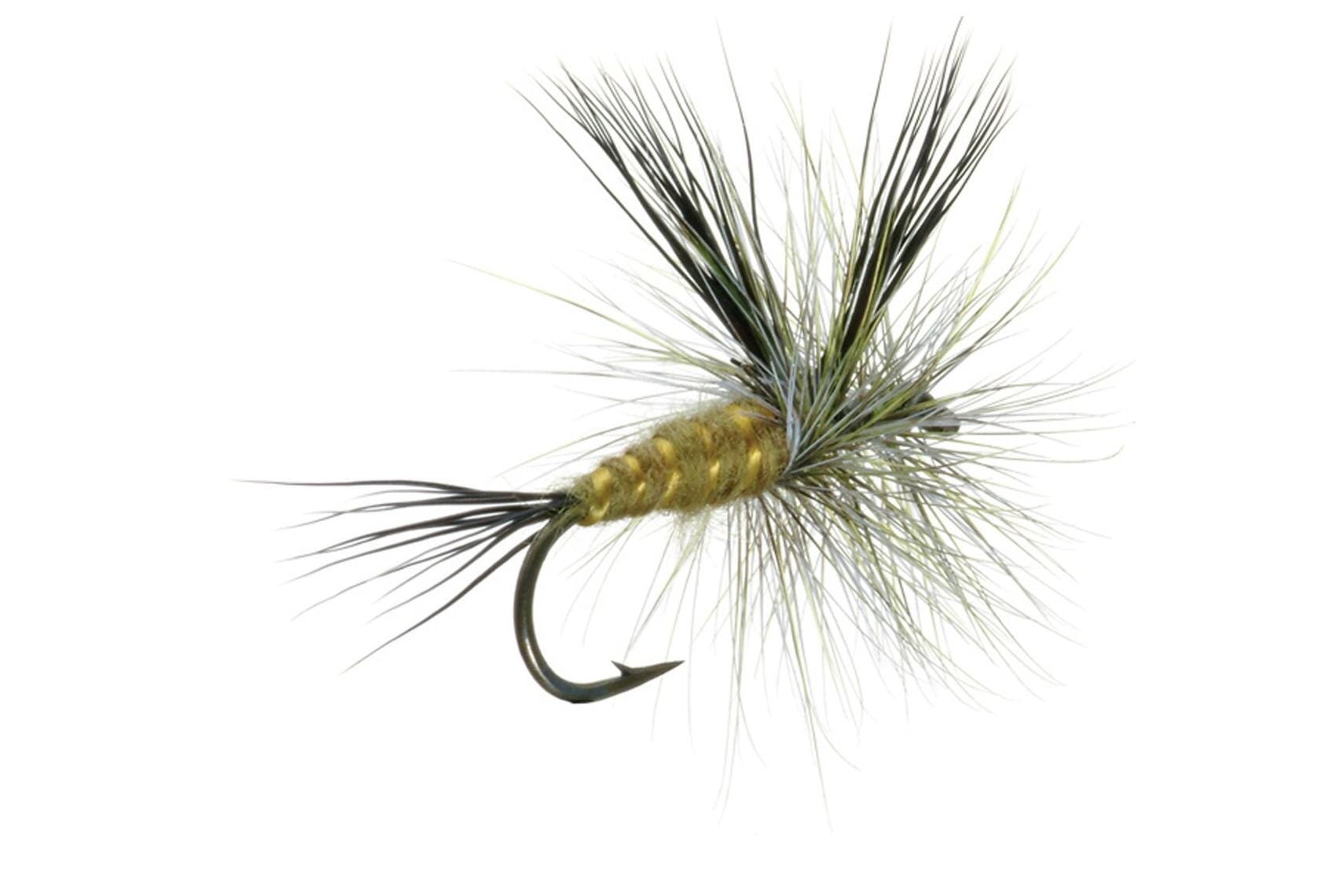 Lawsons Green Drake Fly