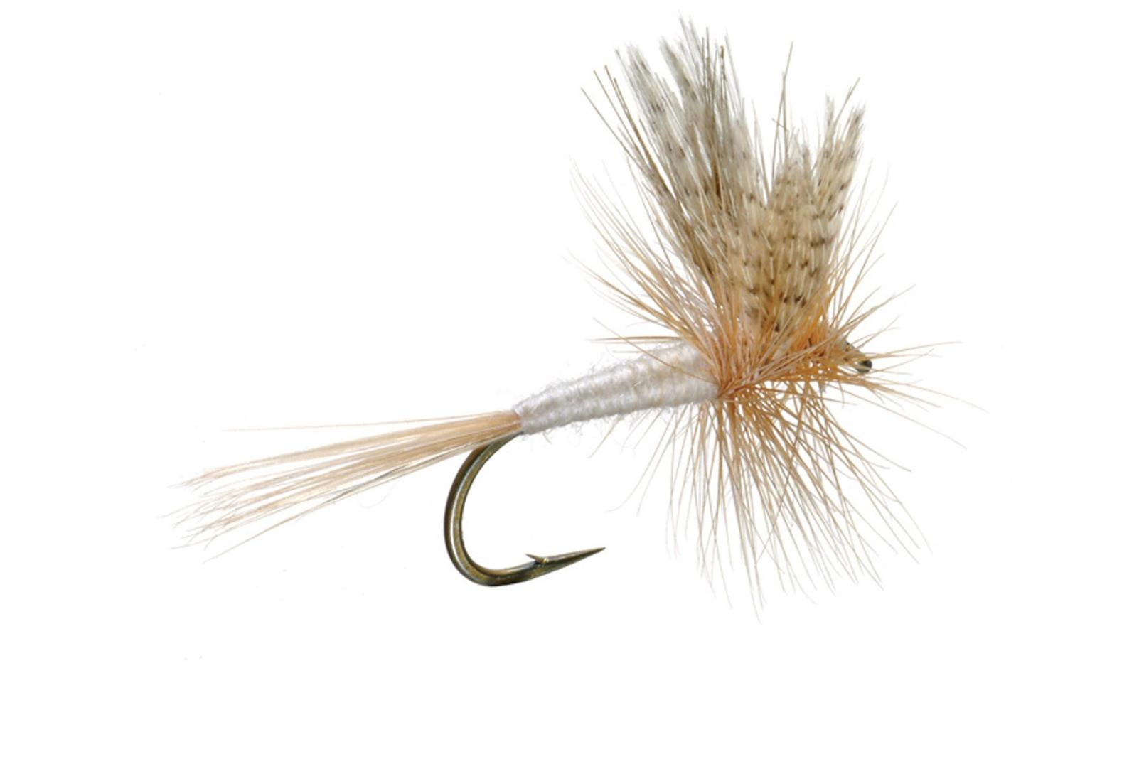 Light Cahill Dry Fly