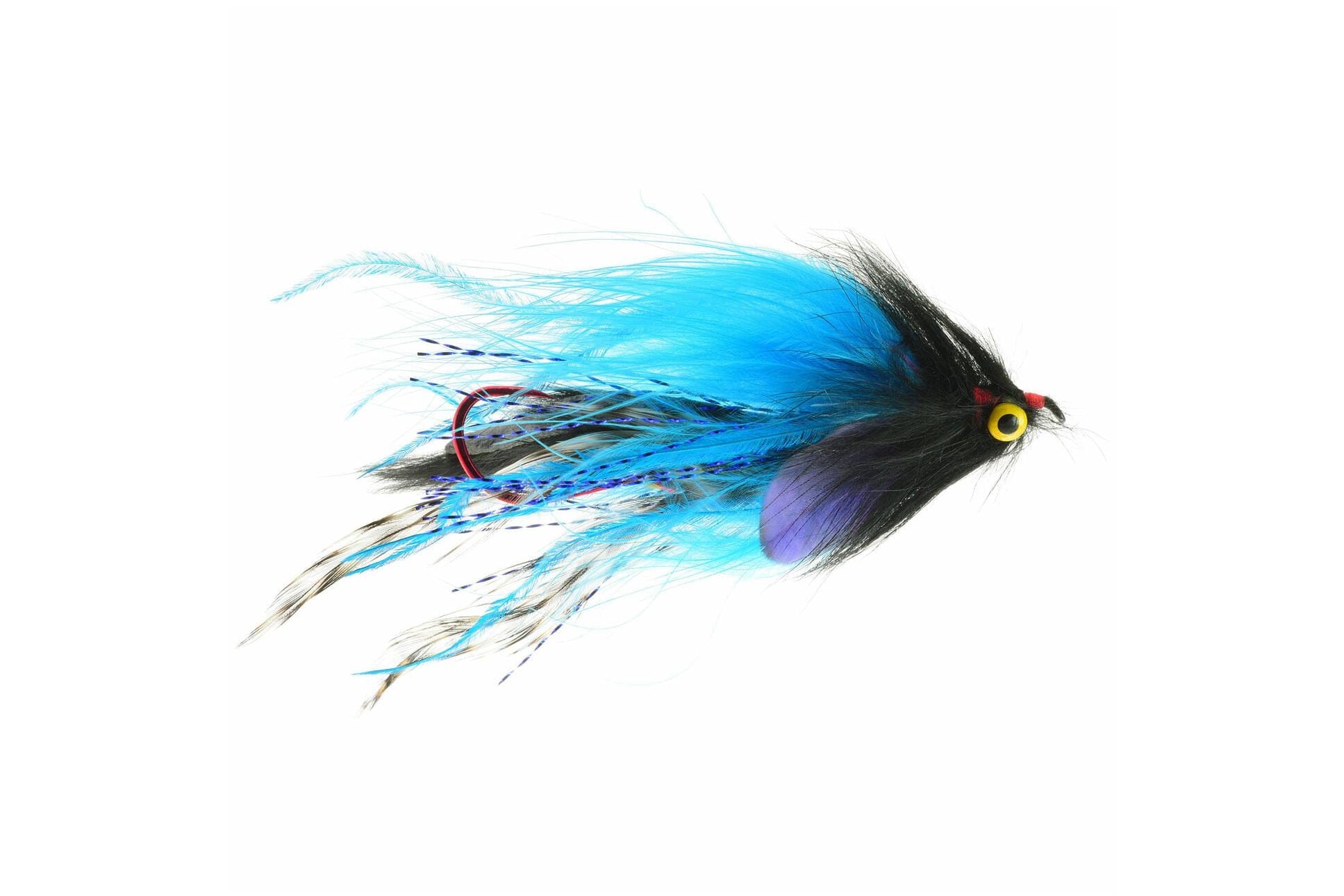 Morrish Medusa Fly