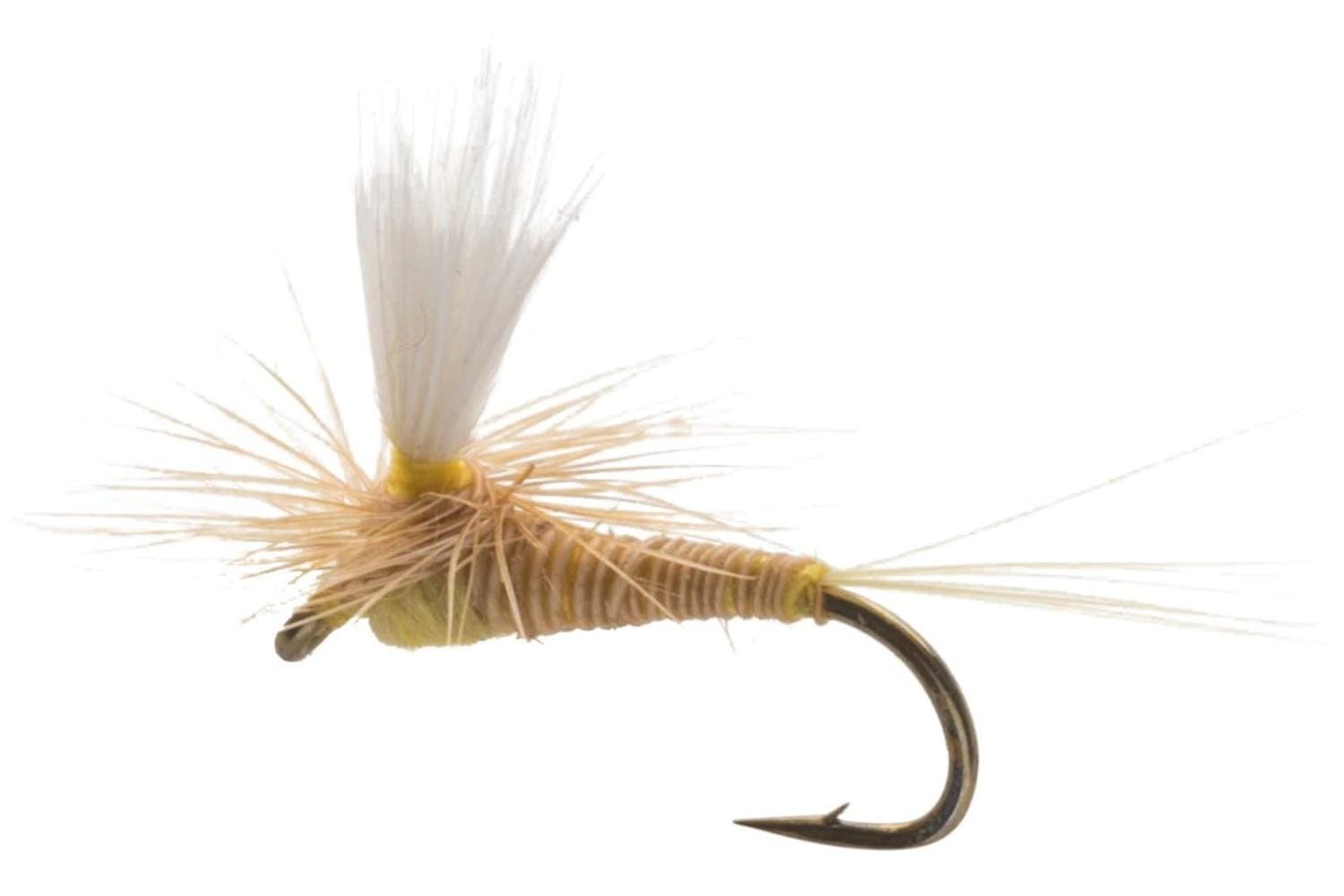 Parachute Red Quill Fly