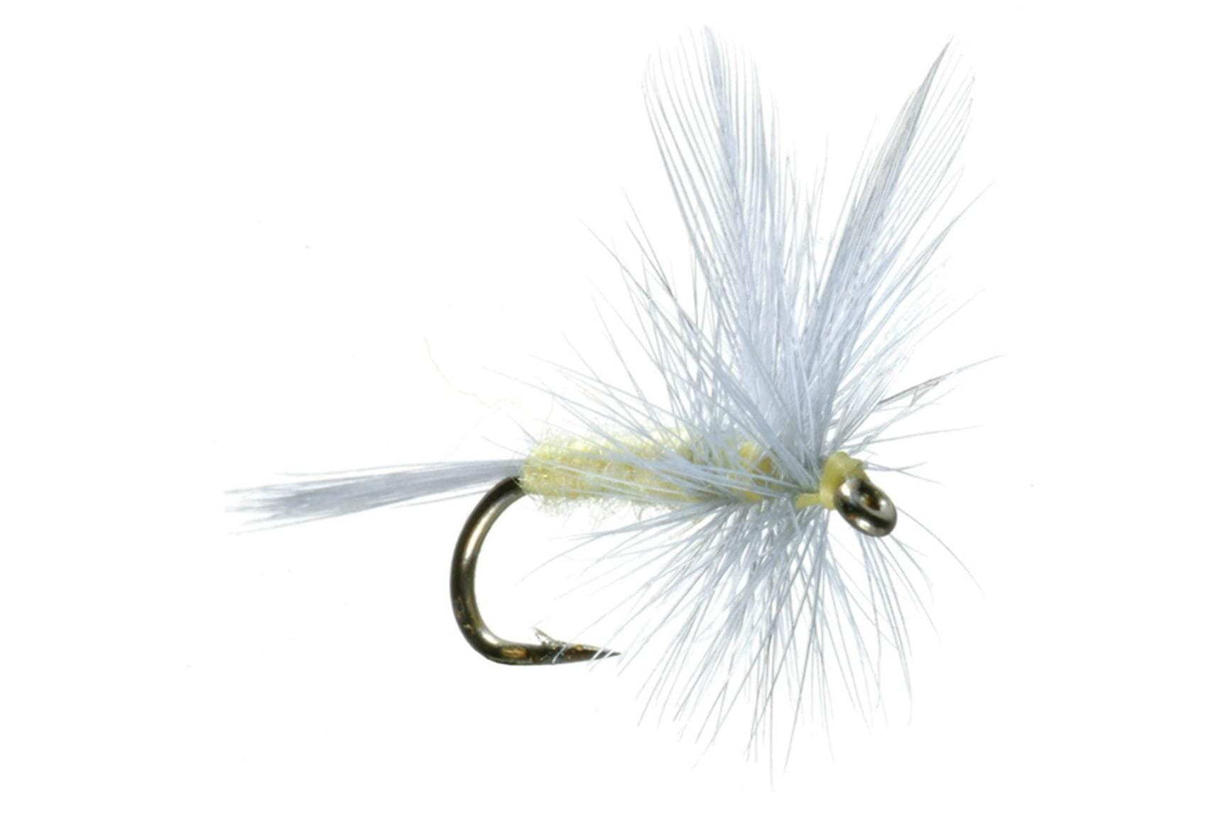 PMD Dry Fly
