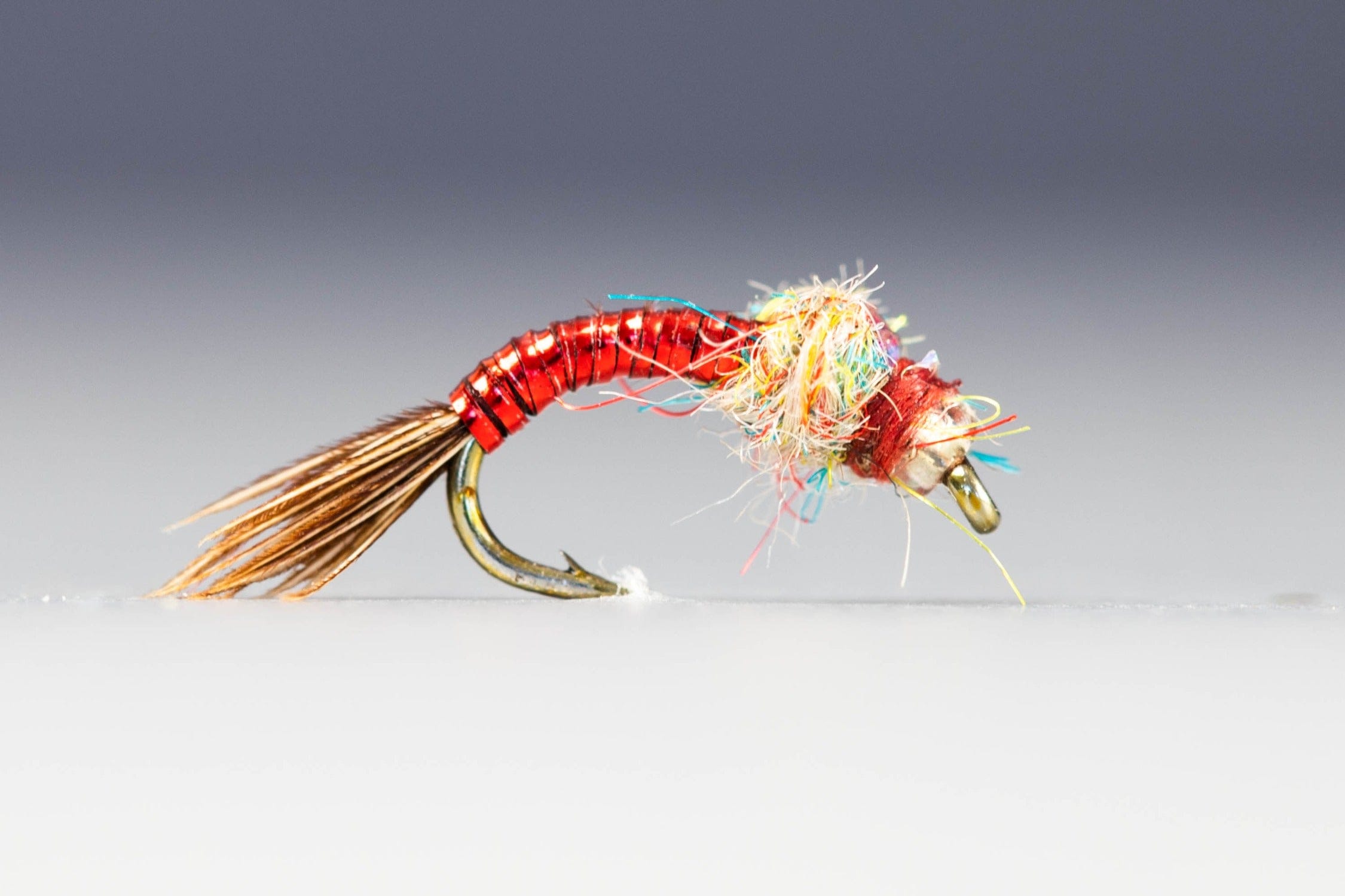 Rainbow Warrior Fly