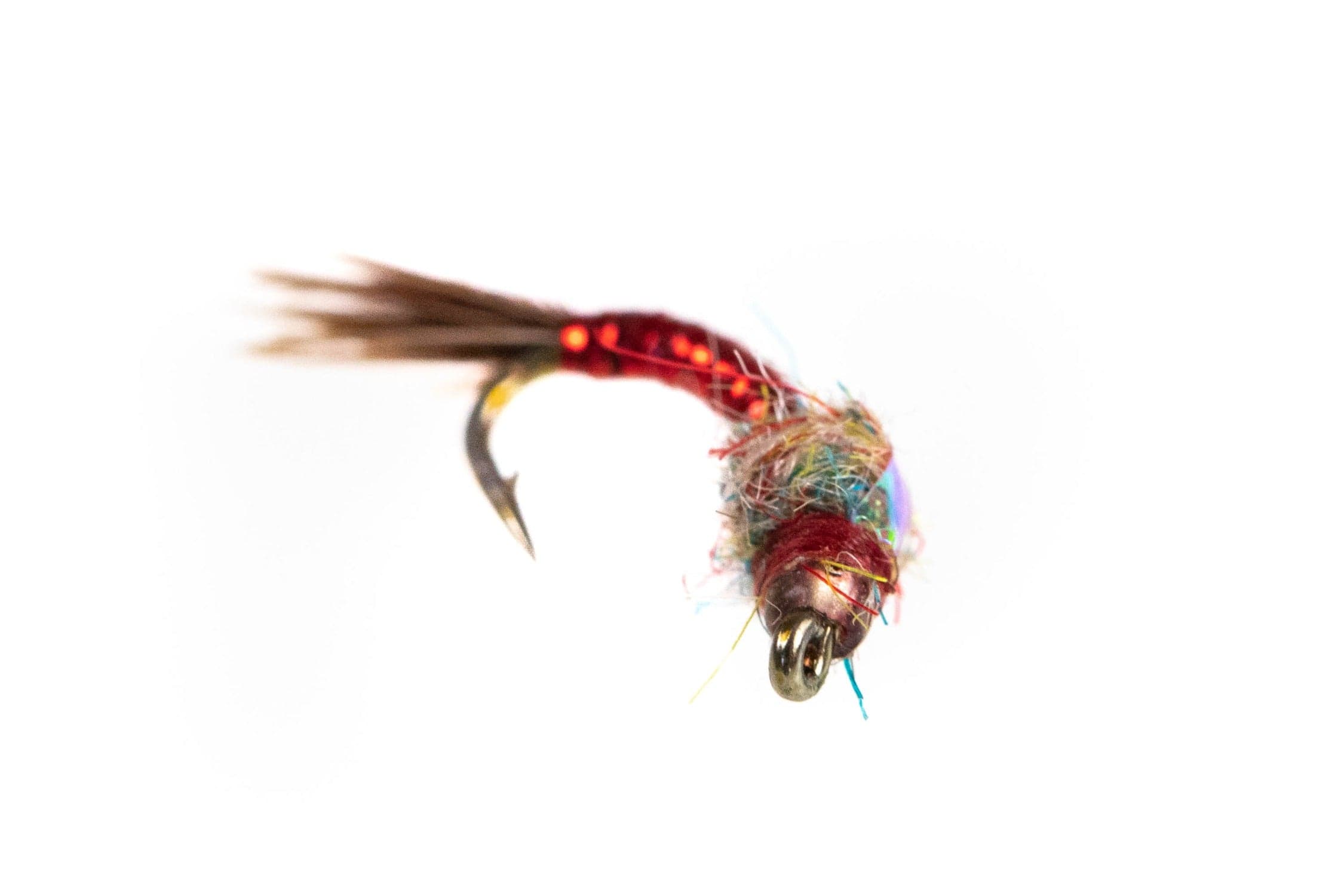 Rainbow Warrior Fly