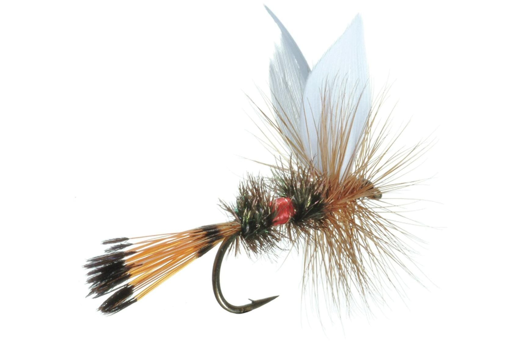 Royal Coachman Dry Fly