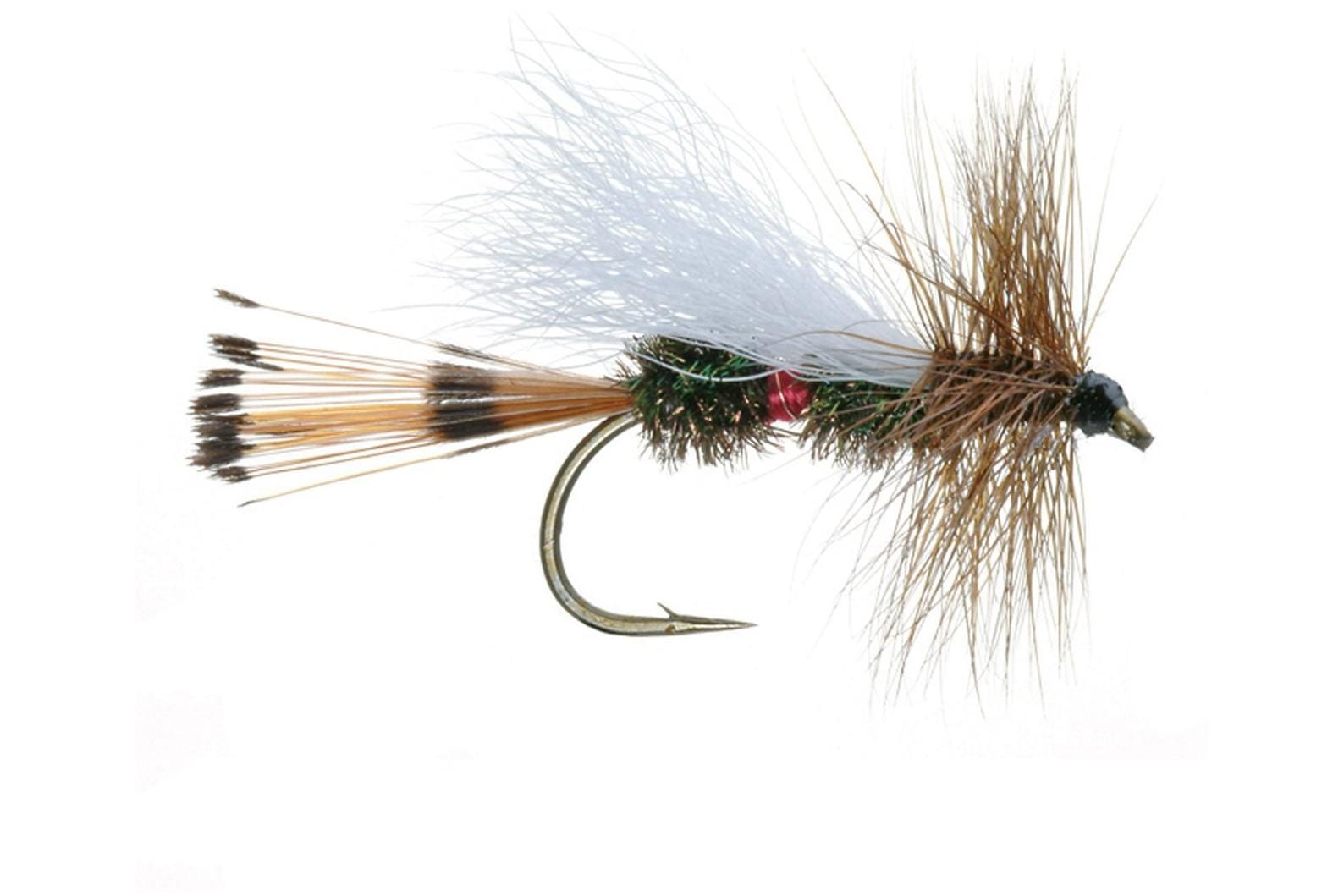 Royal Coachman Trude Dry Fly