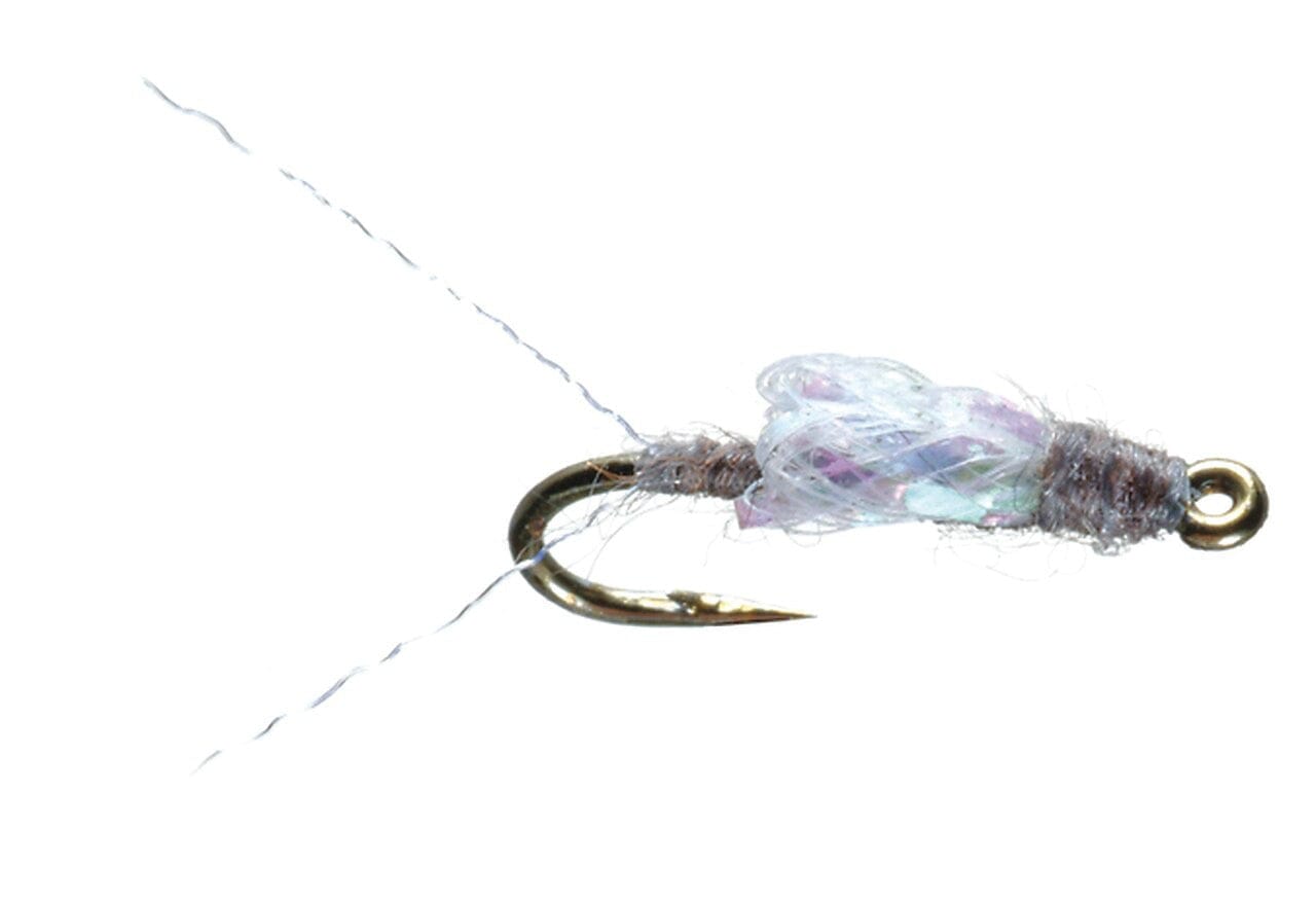 Sparkle Wing RS2 Fly