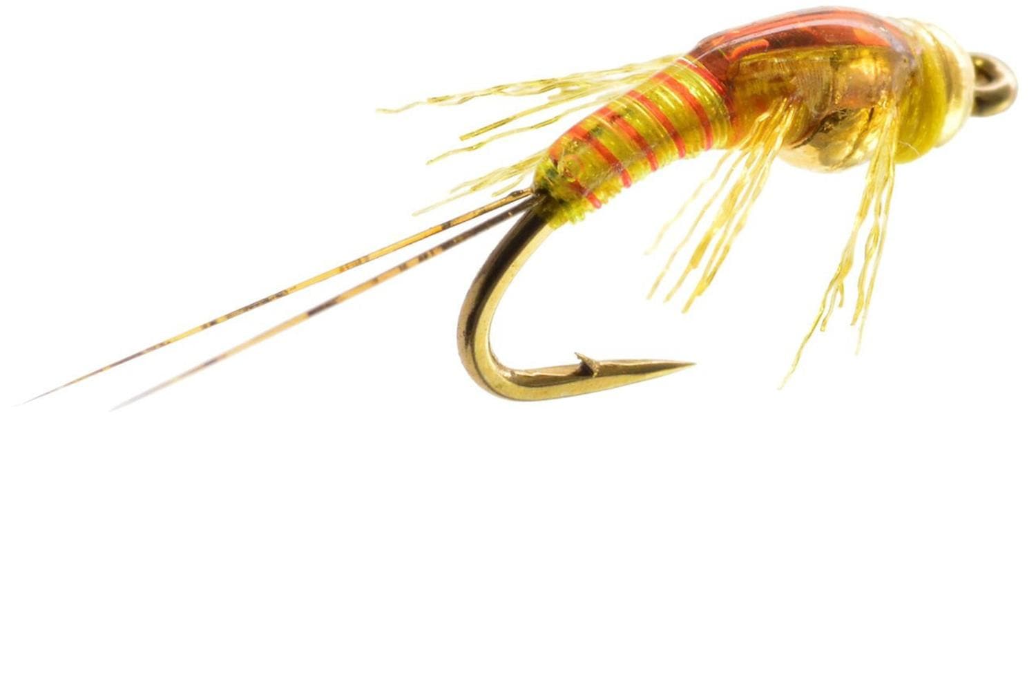 Two Bit Sally Fly