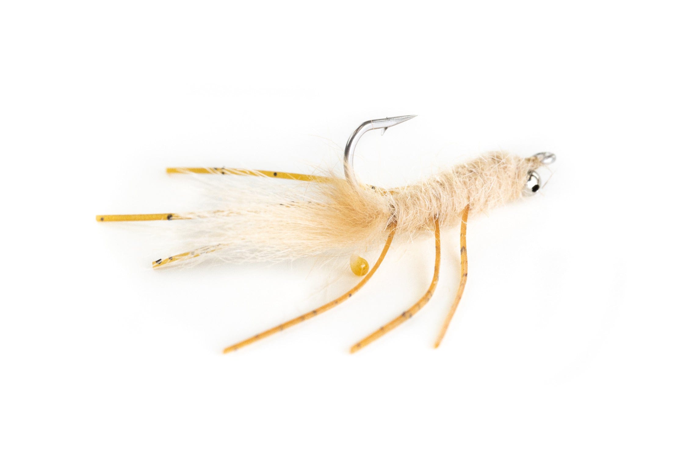 Veverka's Mantis Shrimp Fly