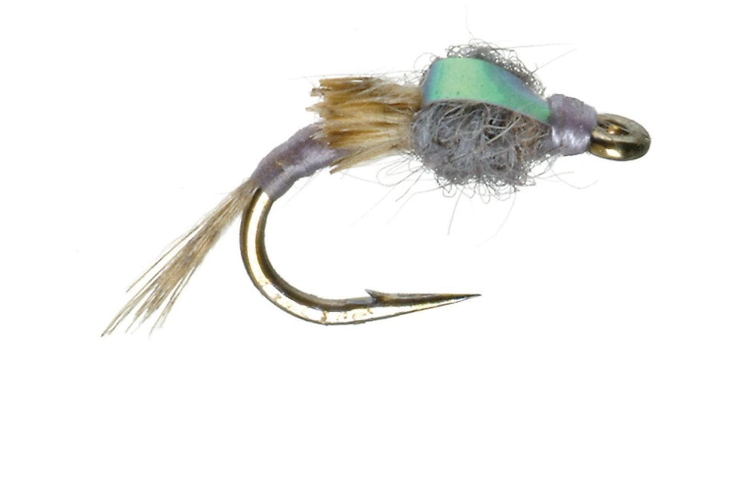 WD-50 Fly