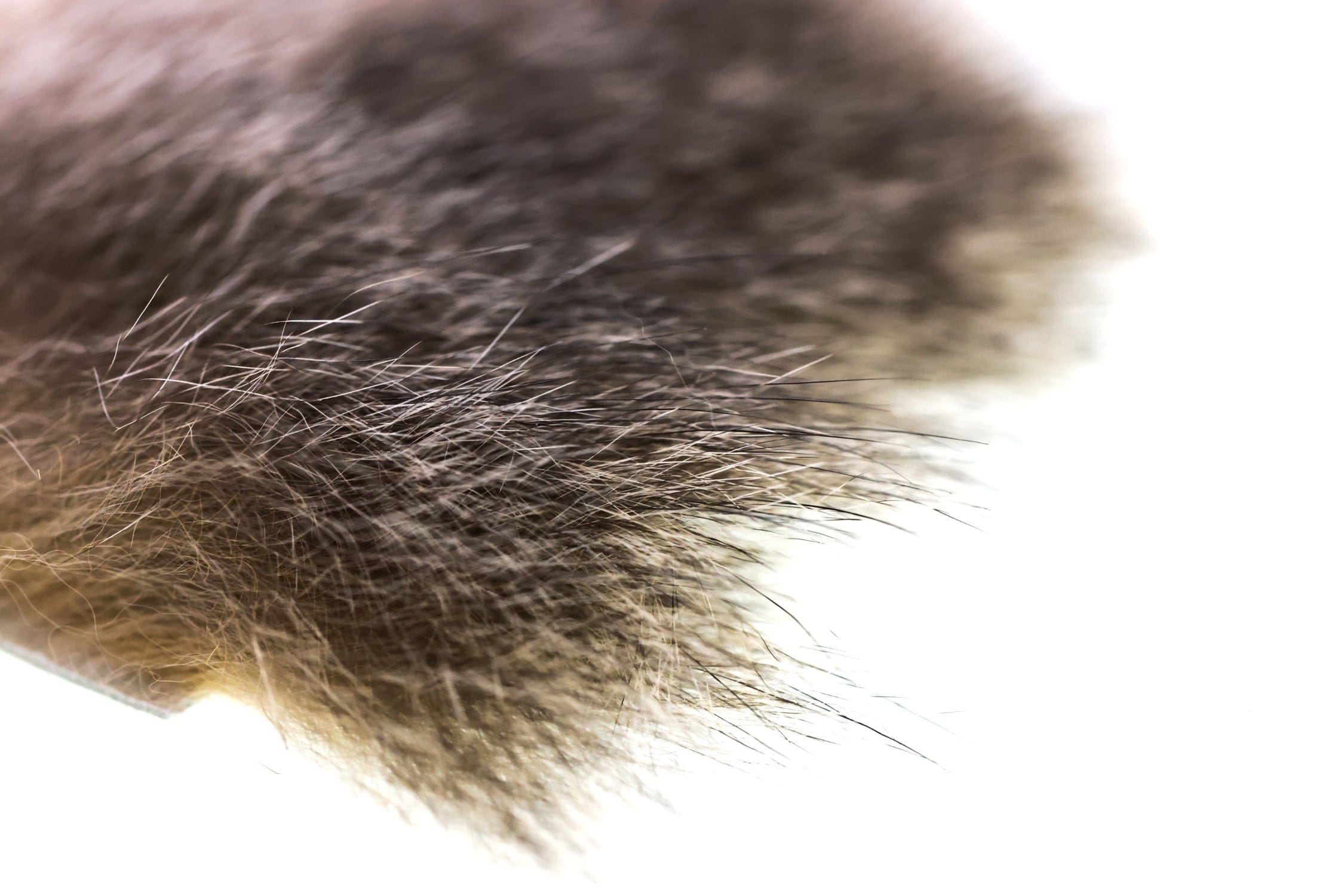 Wapsi Australian Opossum Fur