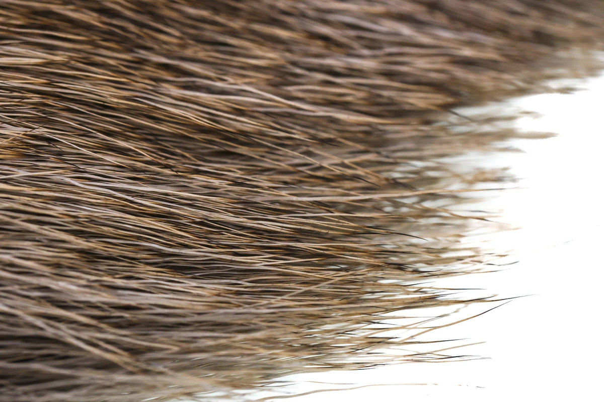 Wapsi Elk Body Hair