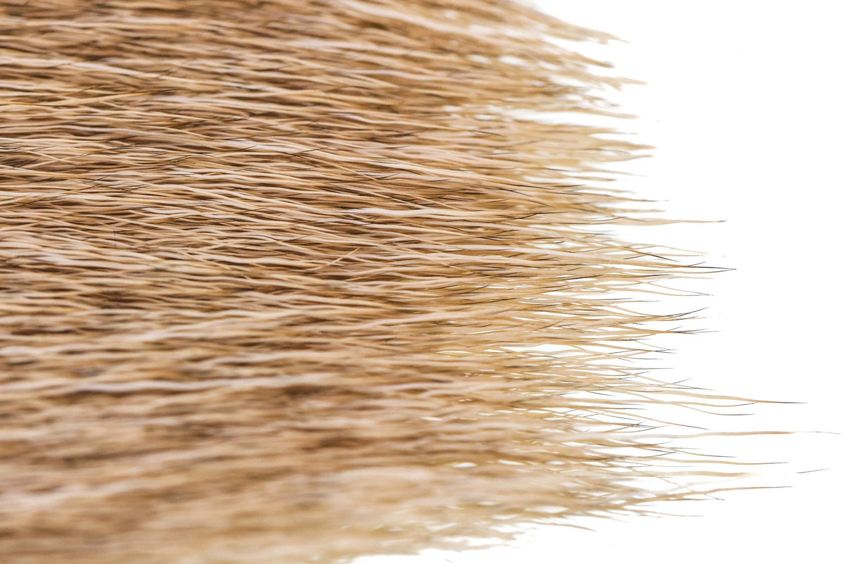 Wapsi Elk Body Hair