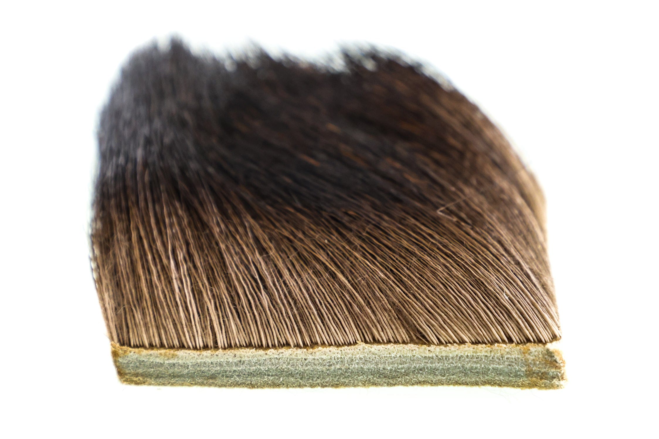 Wapsi Moose Body Hair