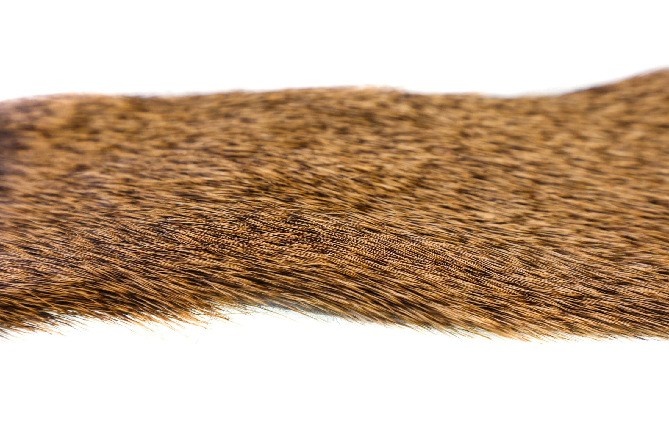 Wapsi Premo Elk Body Hair