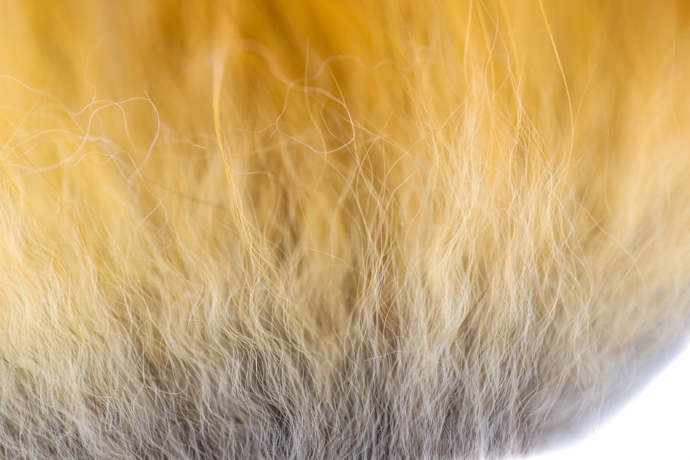 Wapsi Red Fox Hair