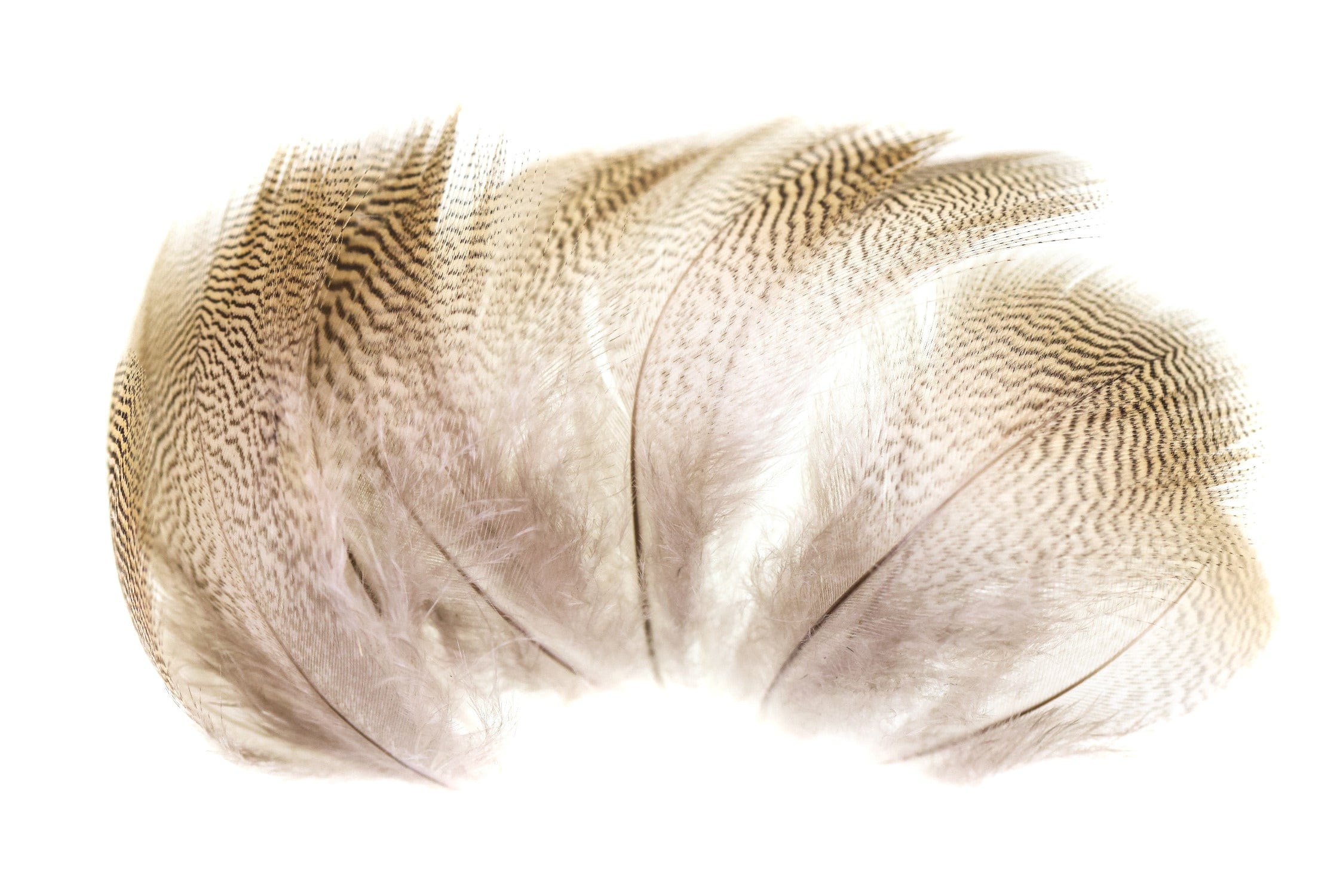 Wapsi Wood Duck Feathers