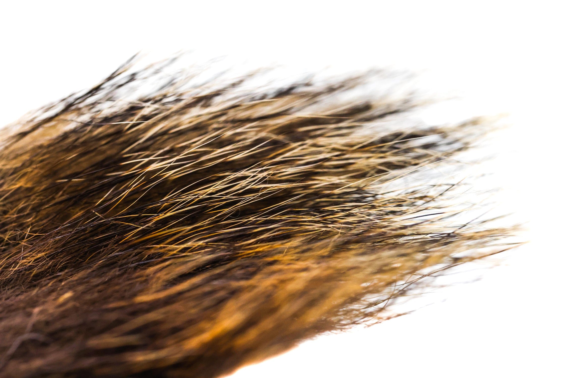 Wapsi Woodchuck Fur