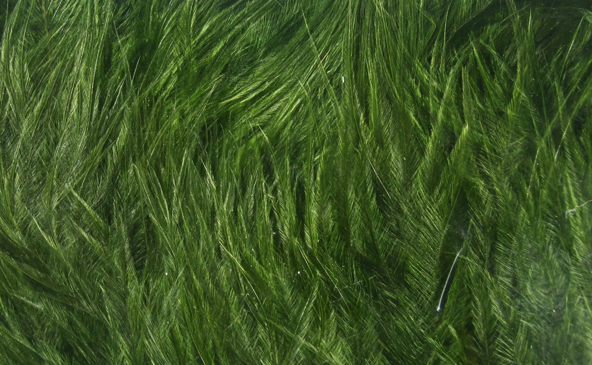Hareline Woolly Bugger Marabou Feathers
