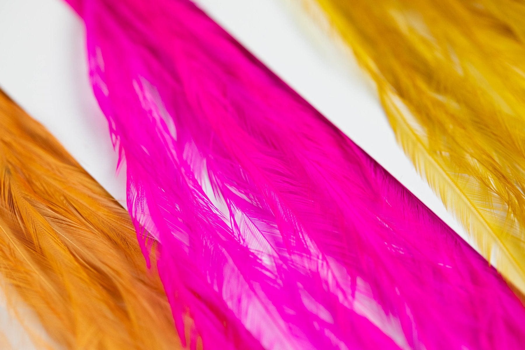 Whiting 100 Pack Saddle Hackle