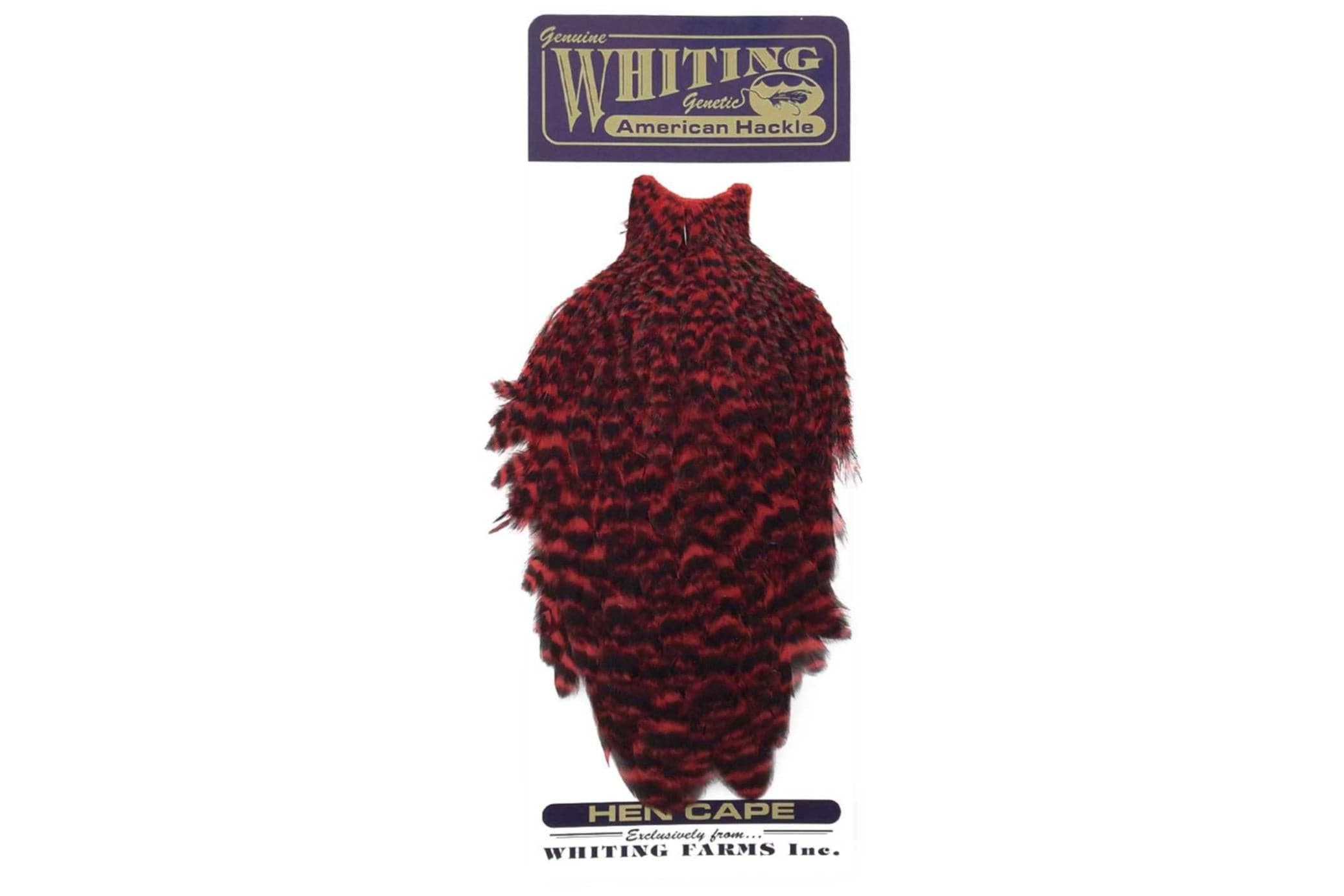 Whiting American Hen Cape